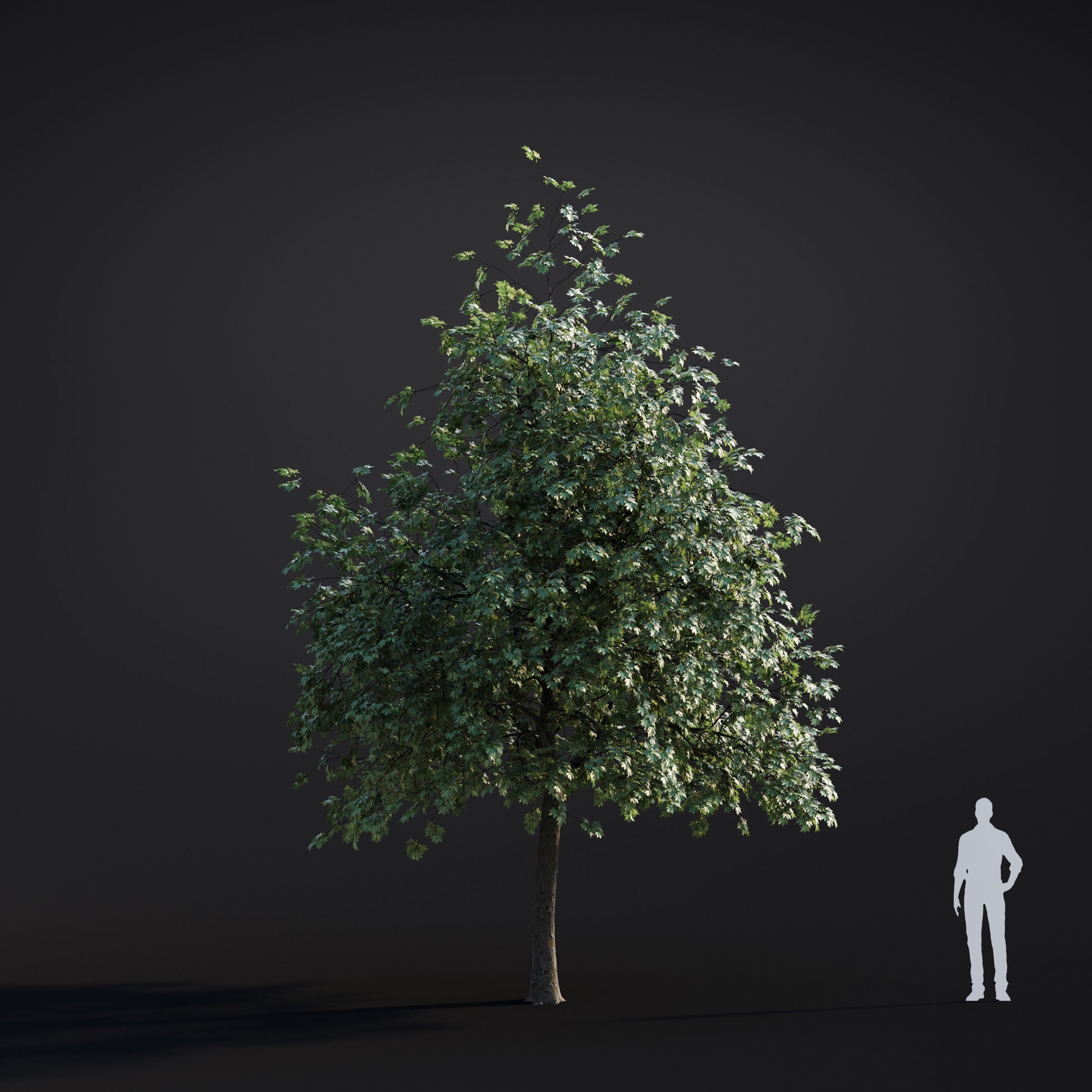 Spring Trees Collection - Game-Ready 3D Model - View 52