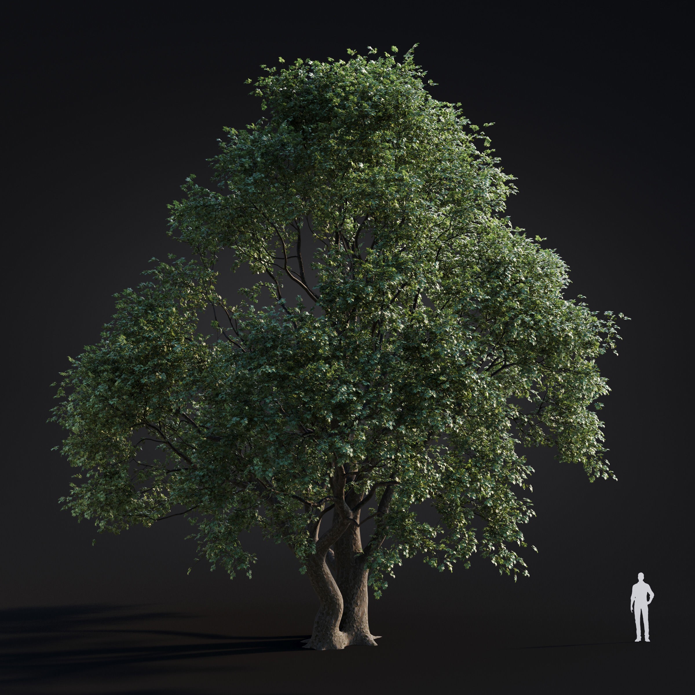 Spring Trees Collection - Game-Ready 3D Model - View 54