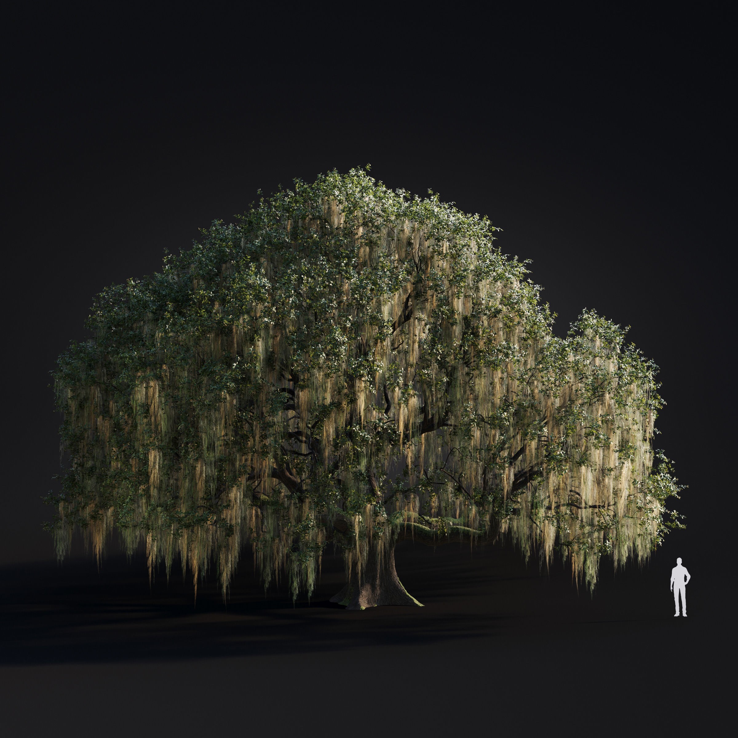 Spring Trees Collection - Game-Ready 3D Model - View 57