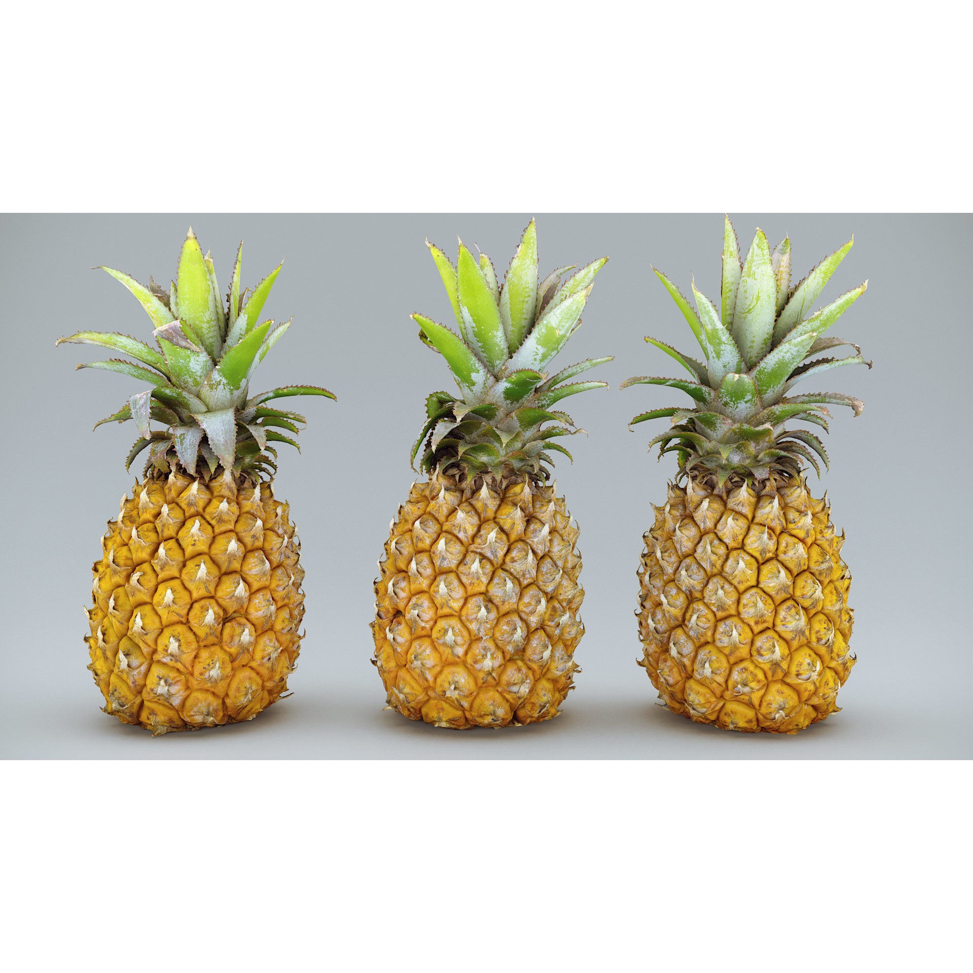 Baby Mini Pineapple - Low-Poly Game-Ready 3D Model - View 3