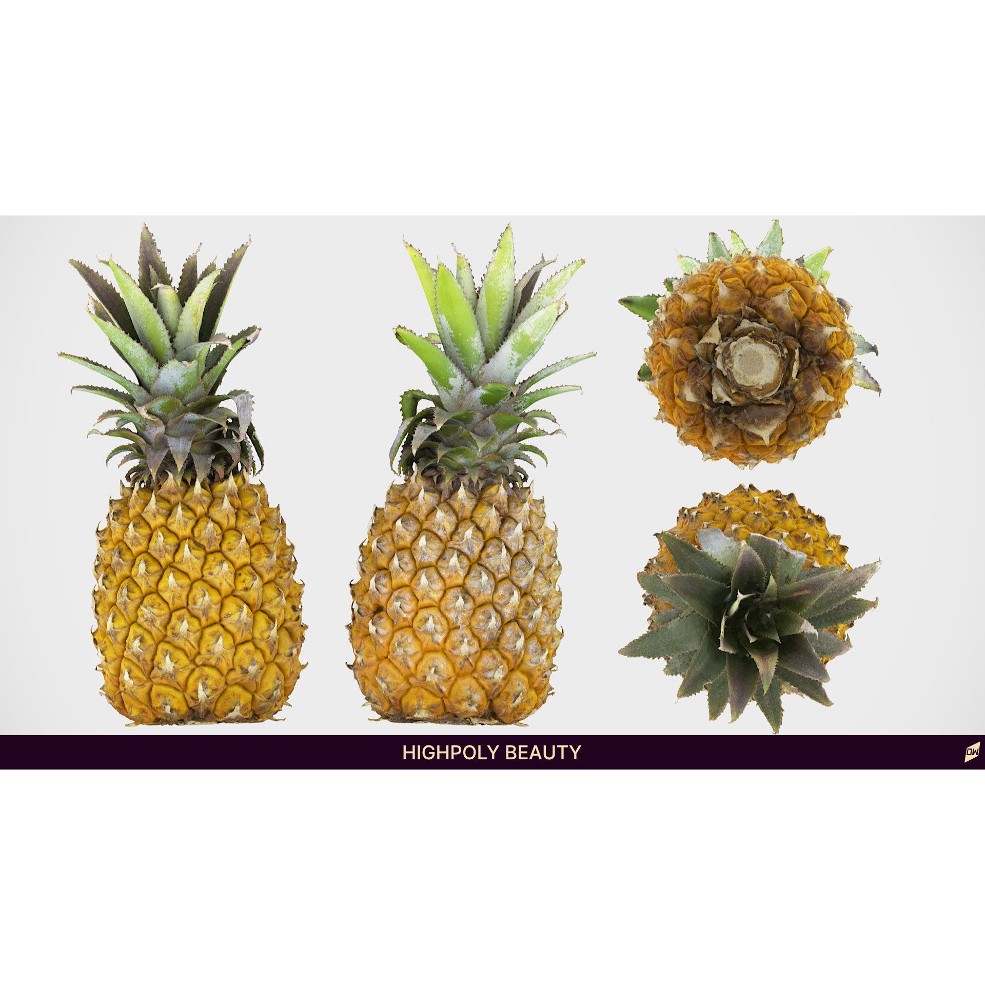 Baby Mini Pineapple - Low-Poly Game-Ready 3D Model - View 5