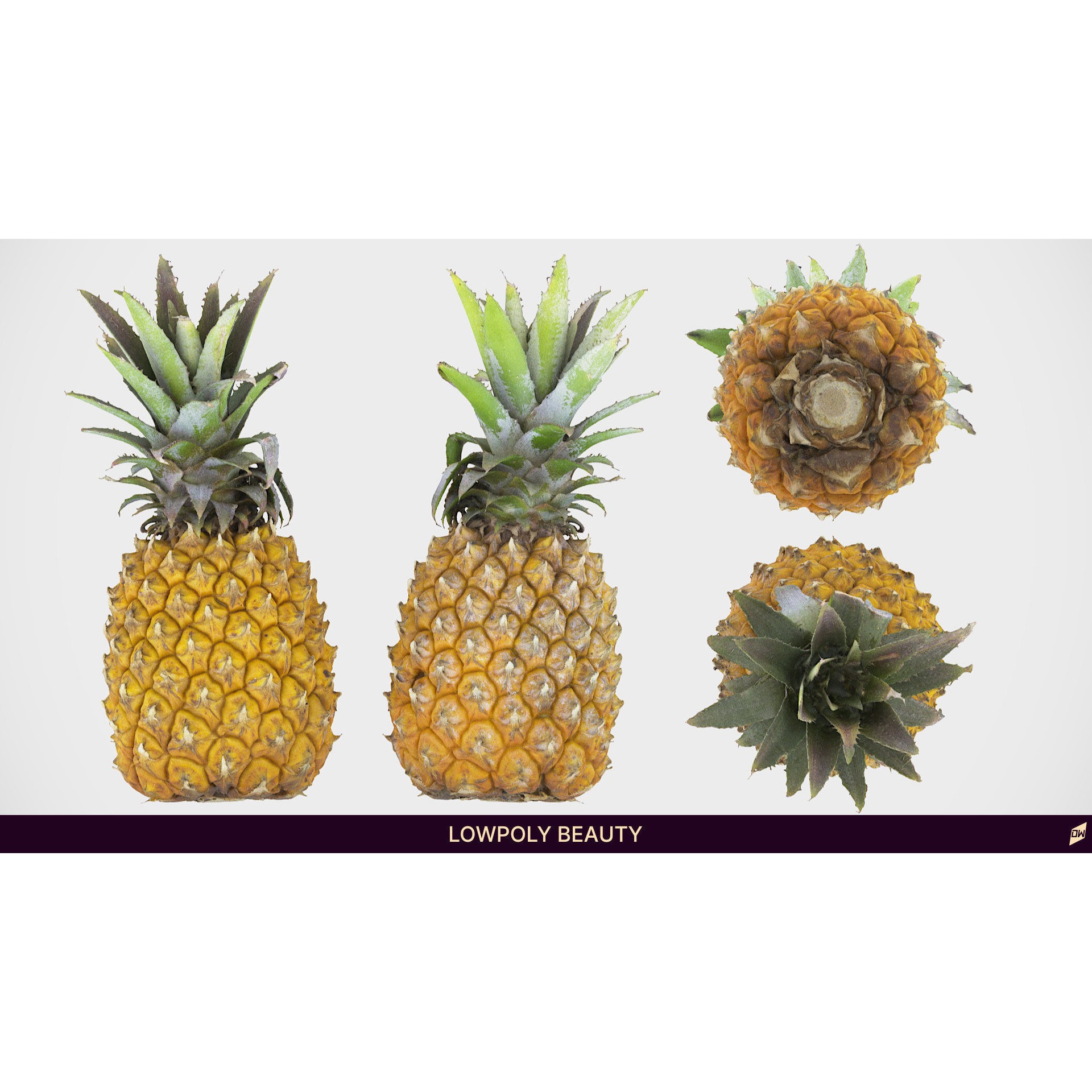 Baby Mini Pineapple - Low-Poly Game-Ready 3D Model - View 8
