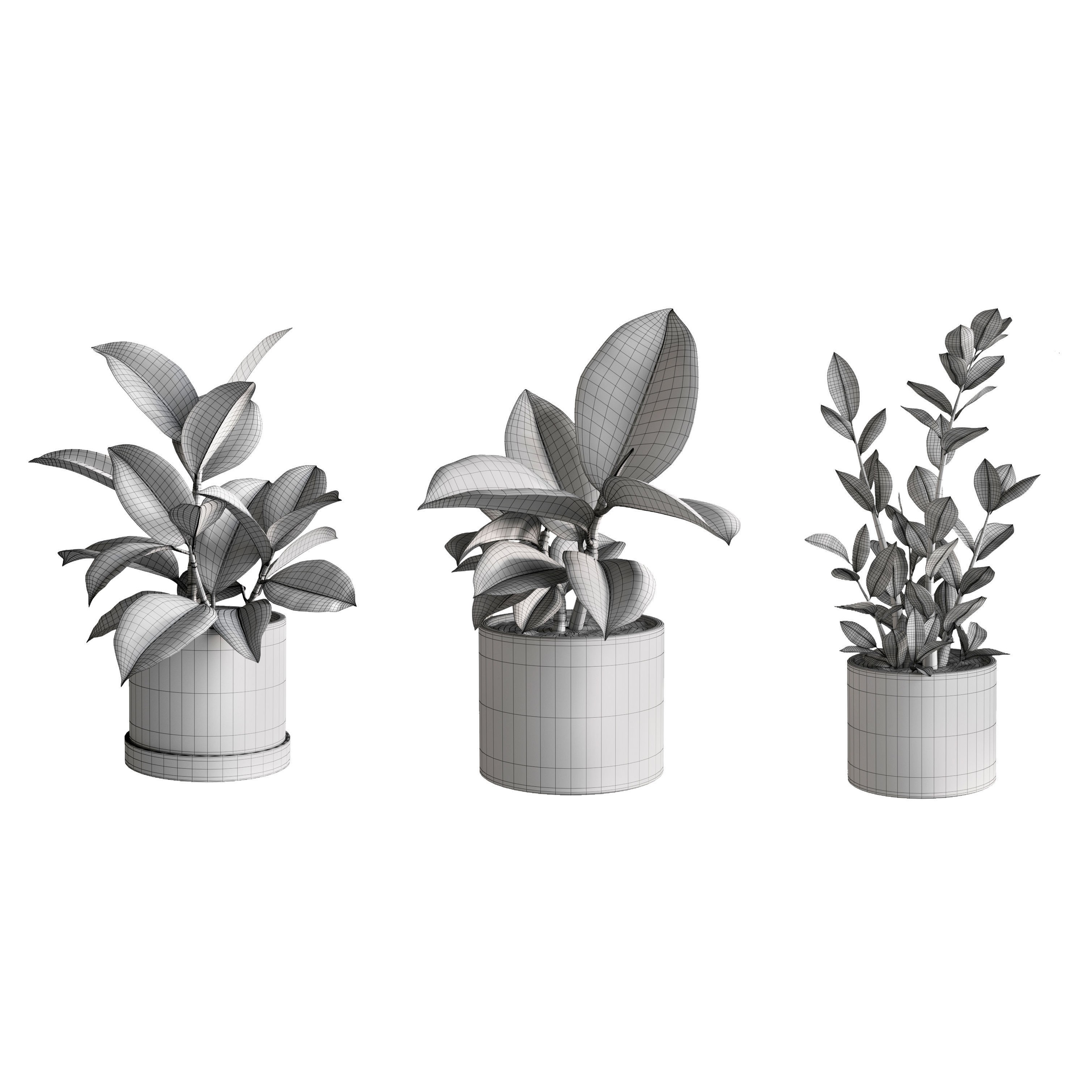 Eucalyptus Plant Set - Game-Ready 3D Model