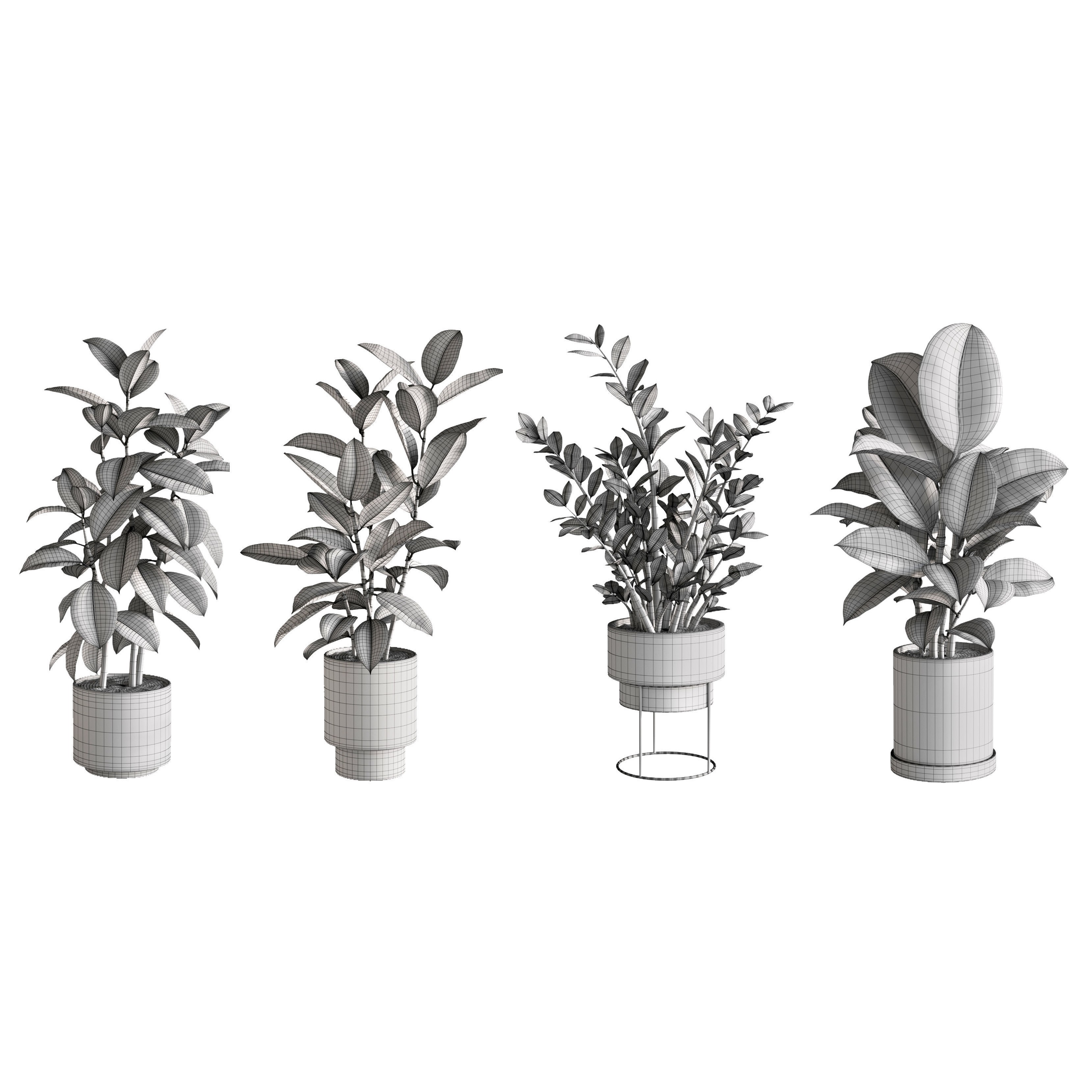 Eucalyptus Plant Set - Game-Ready 3D Model - View 11