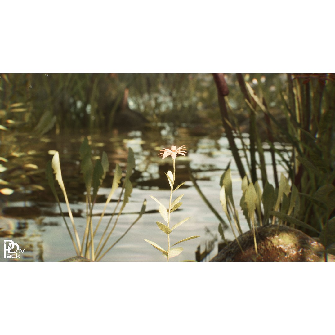 Swamp Environment 3D Model – Low Poly PBR Asset with 42 Props - View 14