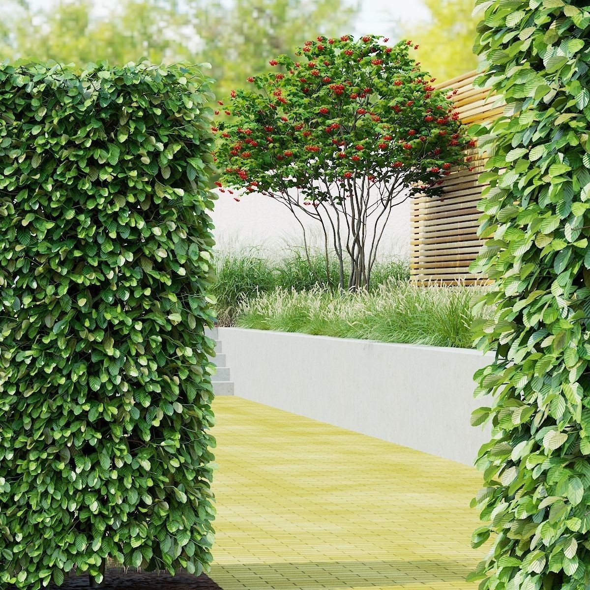 Fagus Sylvatica Hedge - Game-Ready 3D Model - View 8