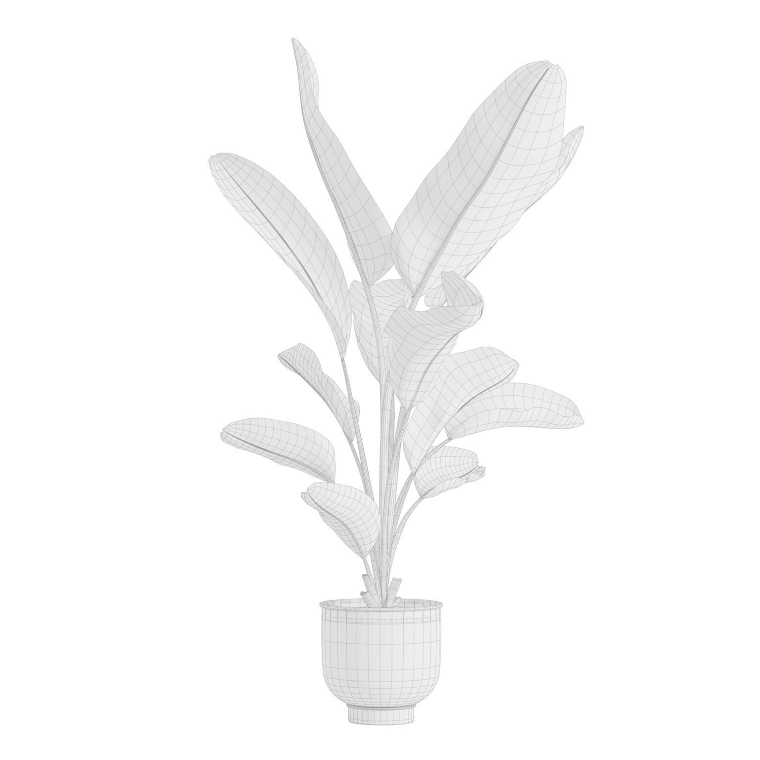 Indoor Plants Pack 23 - PBR Game-Ready 3D Model