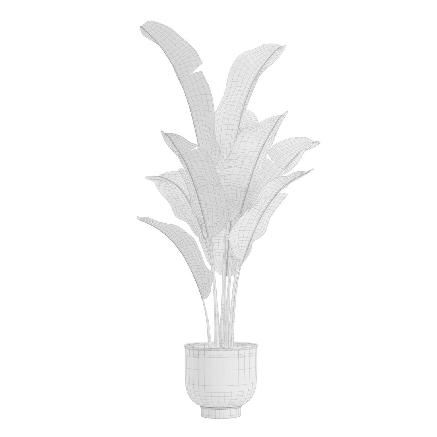 Indoor Plants Pack 23 - PBR Game-Ready 3D Model - View 10