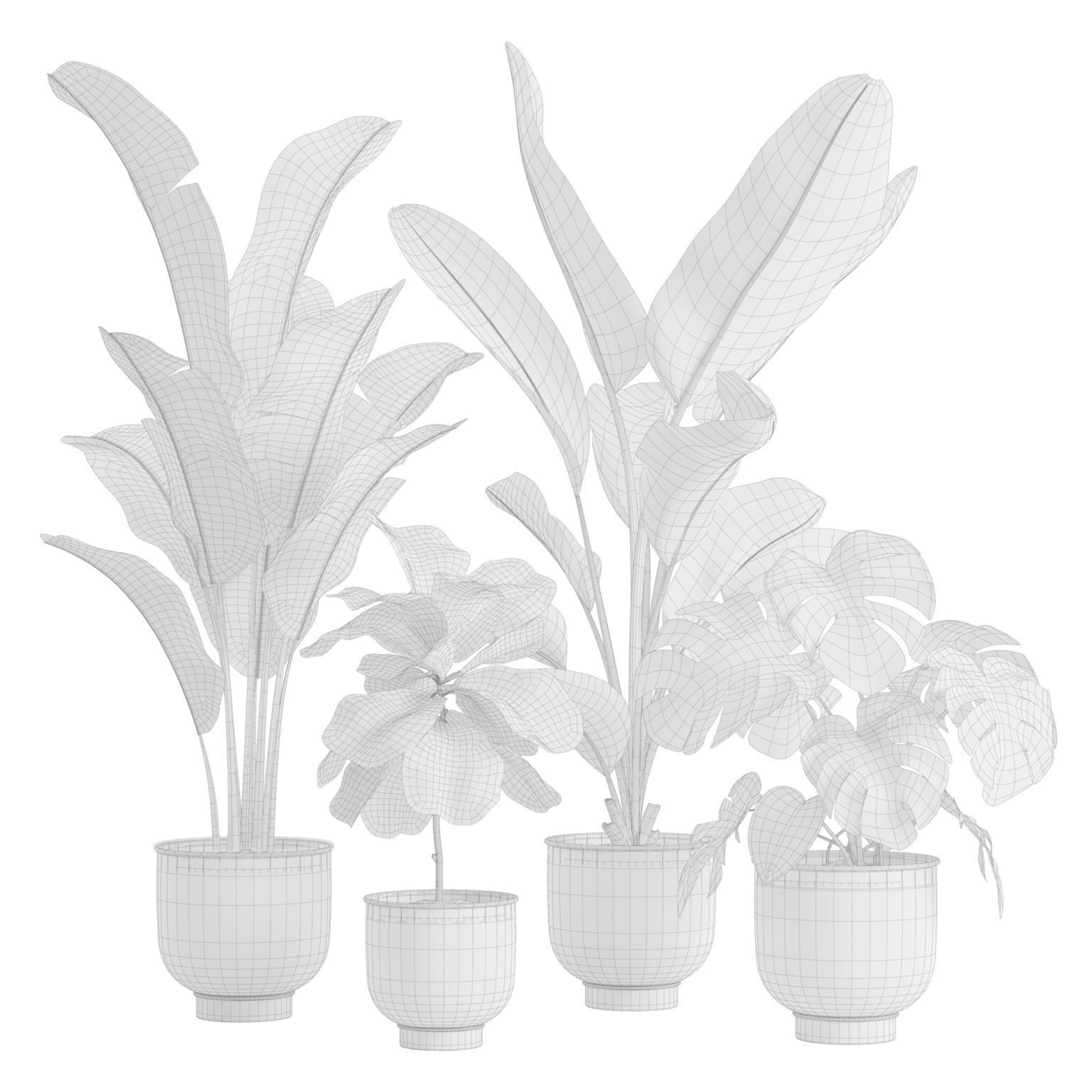 Indoor Plants Pack 23 - PBR Game-Ready 3D Model - View 4