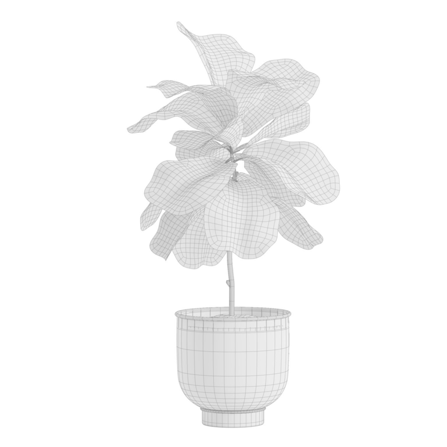 Indoor Plants Pack 23 - PBR Game-Ready 3D Model - View 8