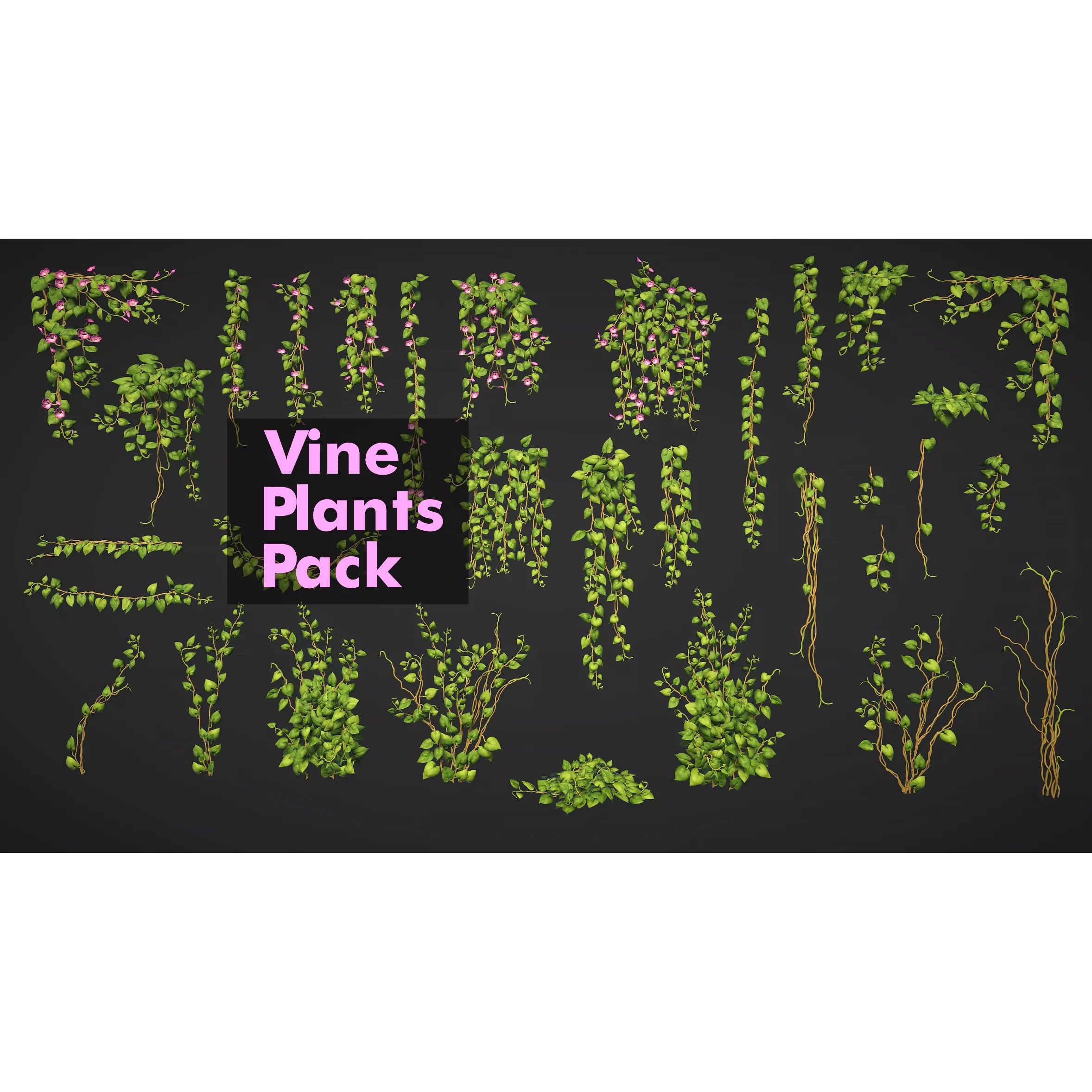 Vine Plants Pack - Low-Poly Game-Ready 3D Model - View 2