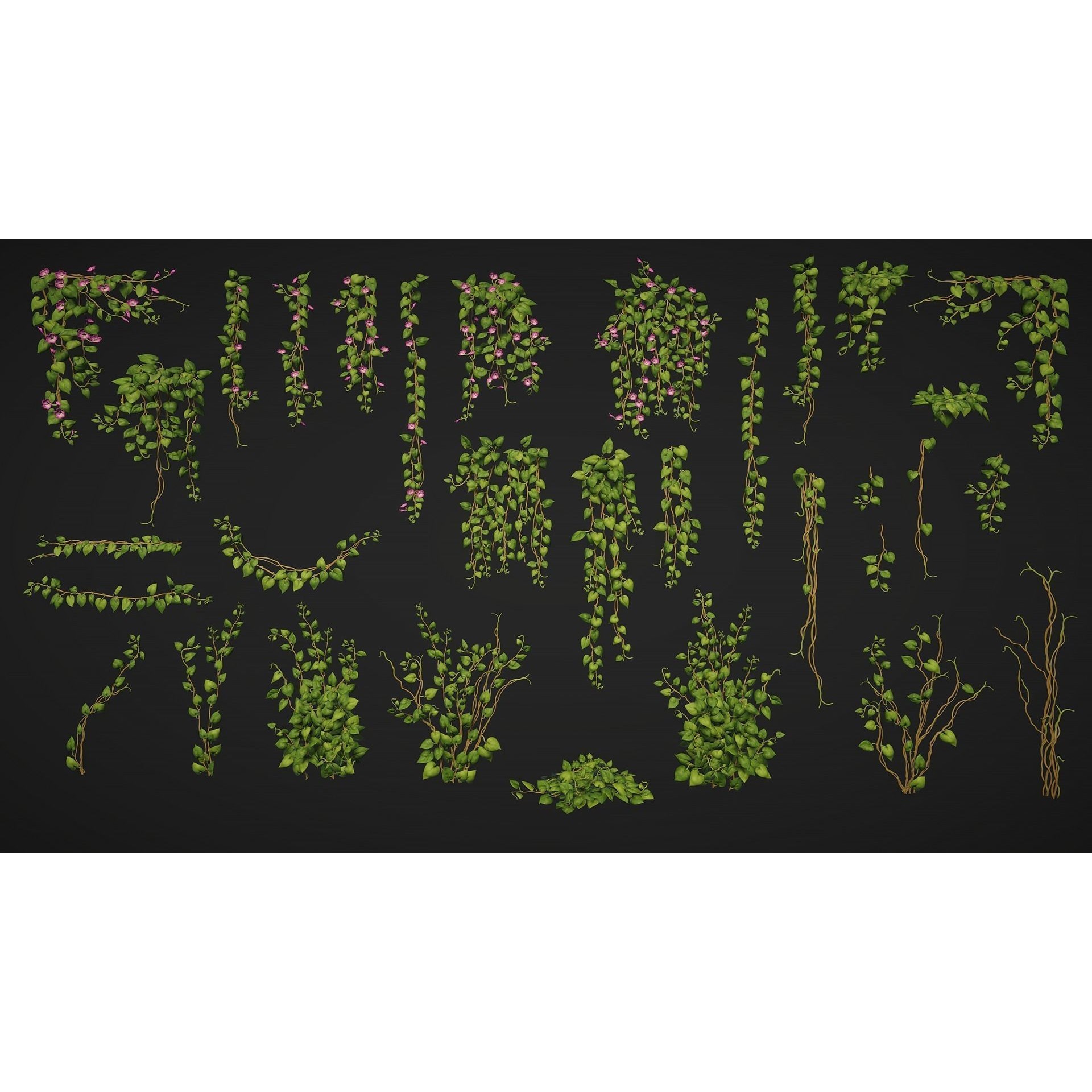 Vine Plants Pack - Low-Poly Game-Ready 3D Model - View 5