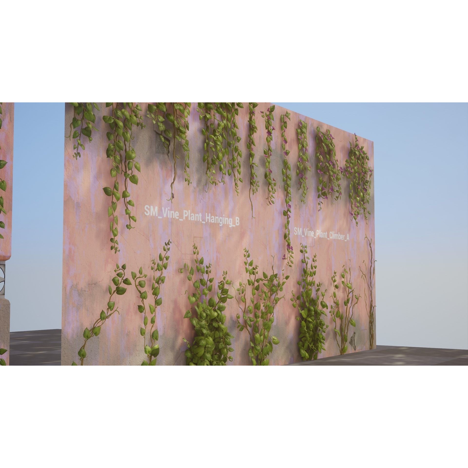 Vine Plants Pack - Low-Poly Game-Ready 3D Model - View 8