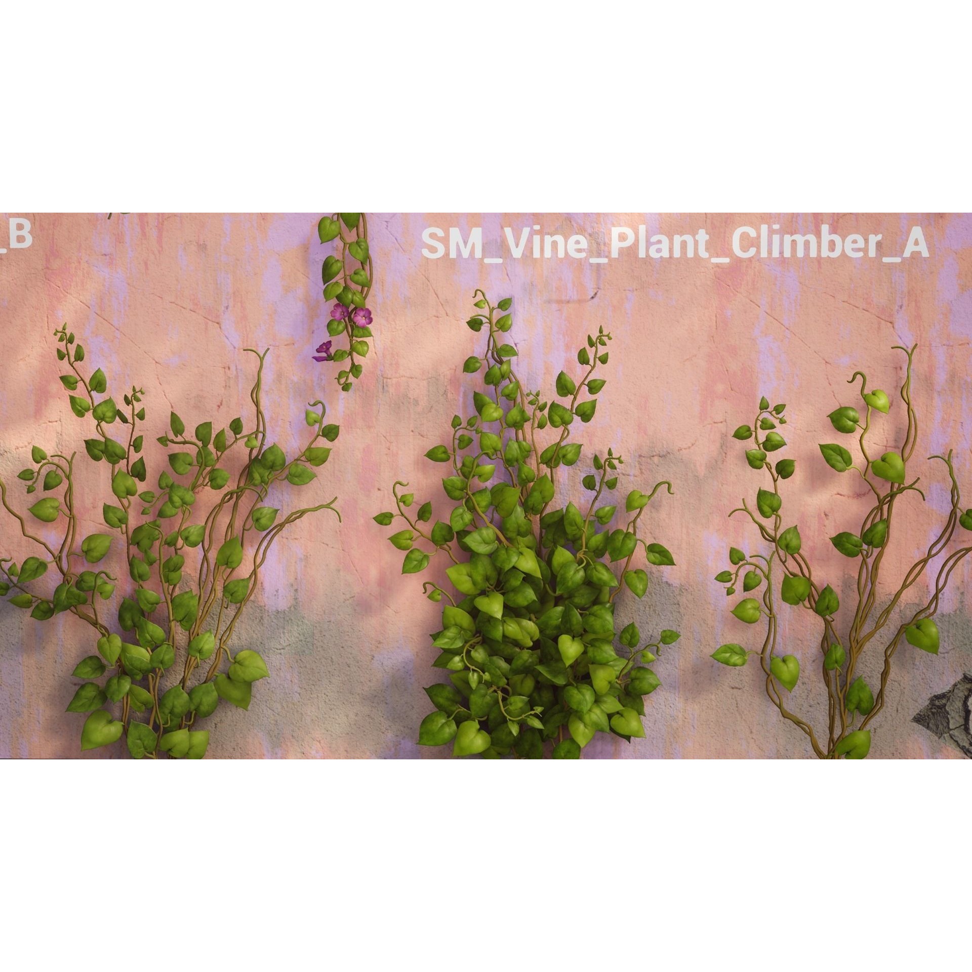 Vine Plants Pack - Low-Poly Game-Ready 3D Model - View 9