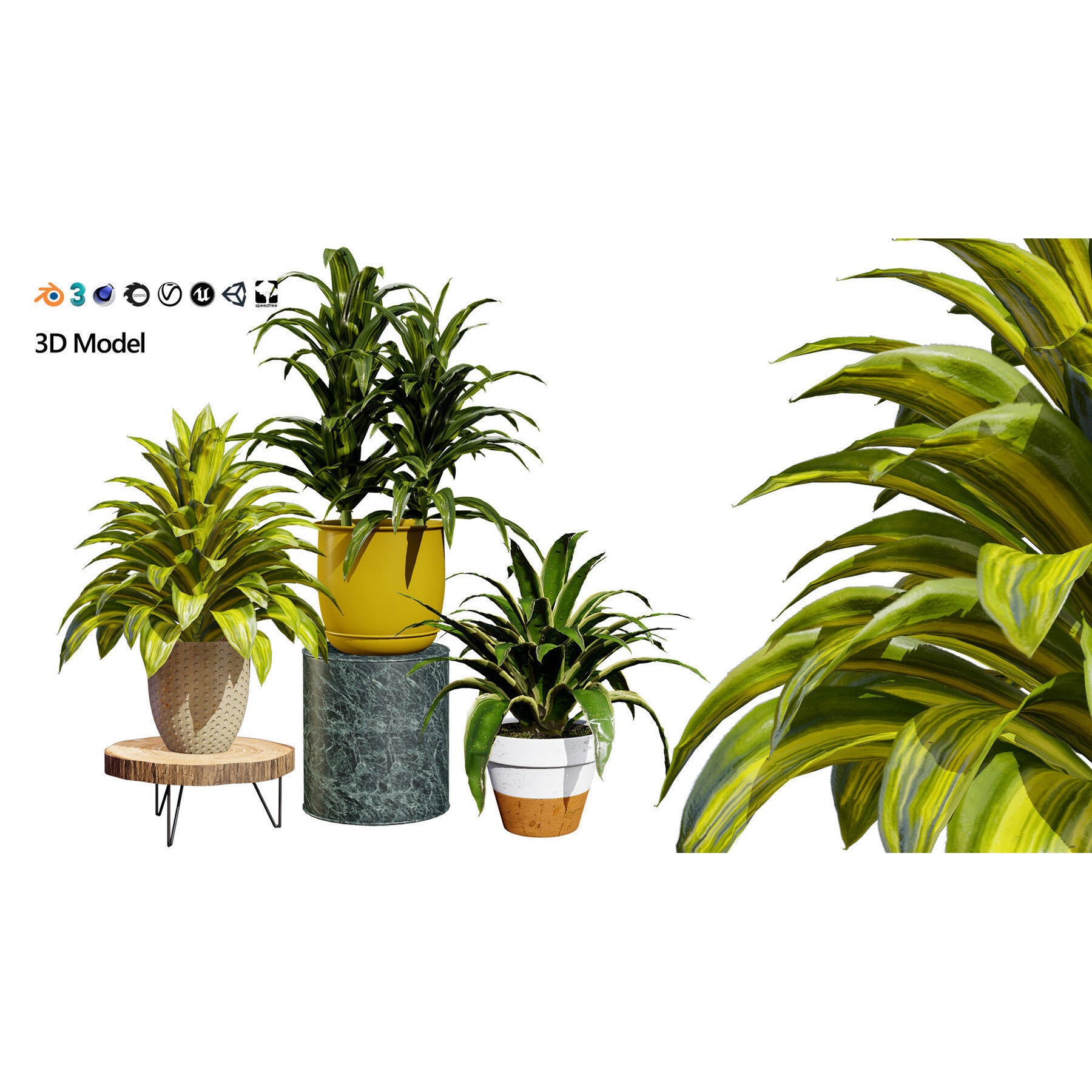 Potted Plant Collection - Low-Poly Game-Ready 3D Model