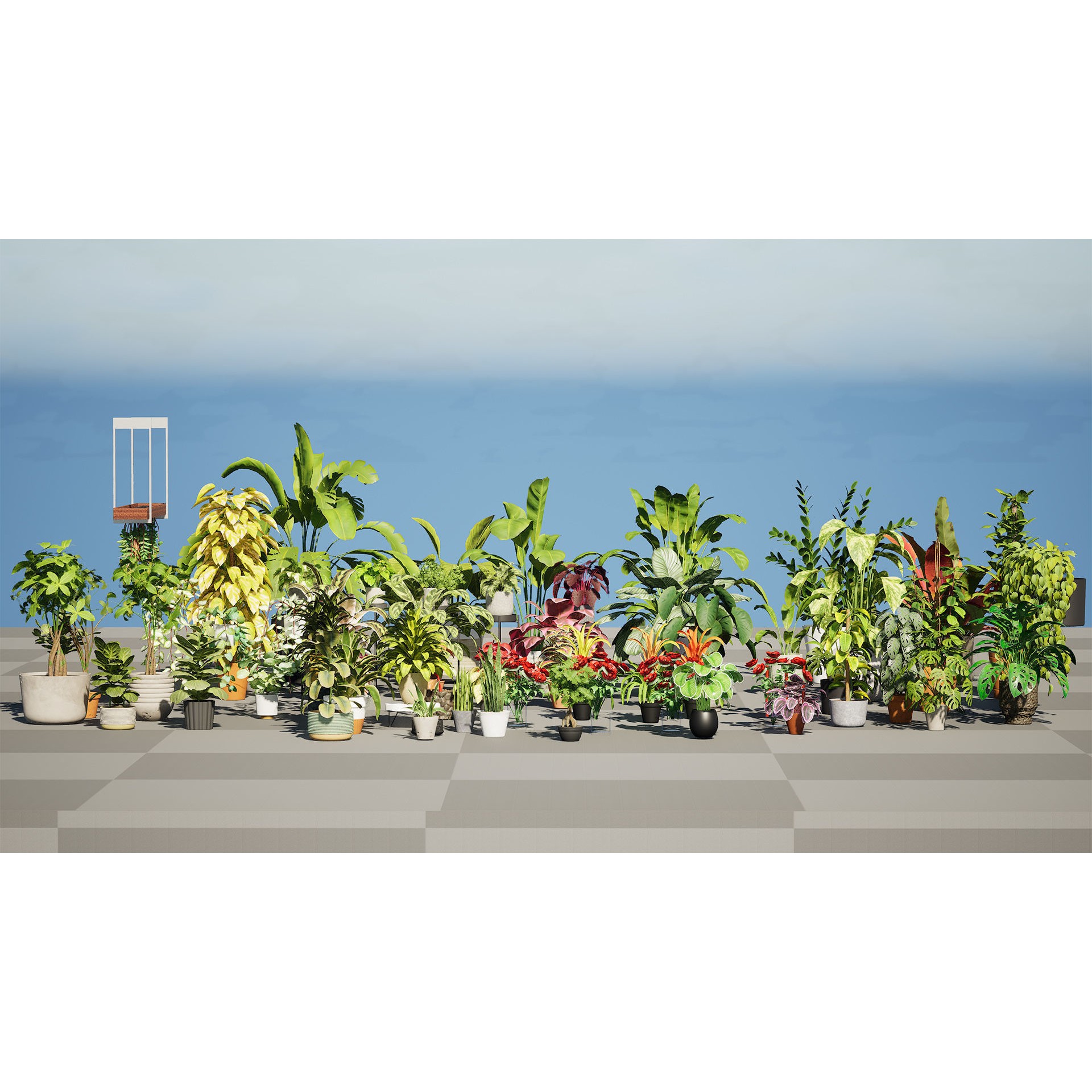 Potted Plant Collection - Low-Poly Game-Ready 3D Model - View 11