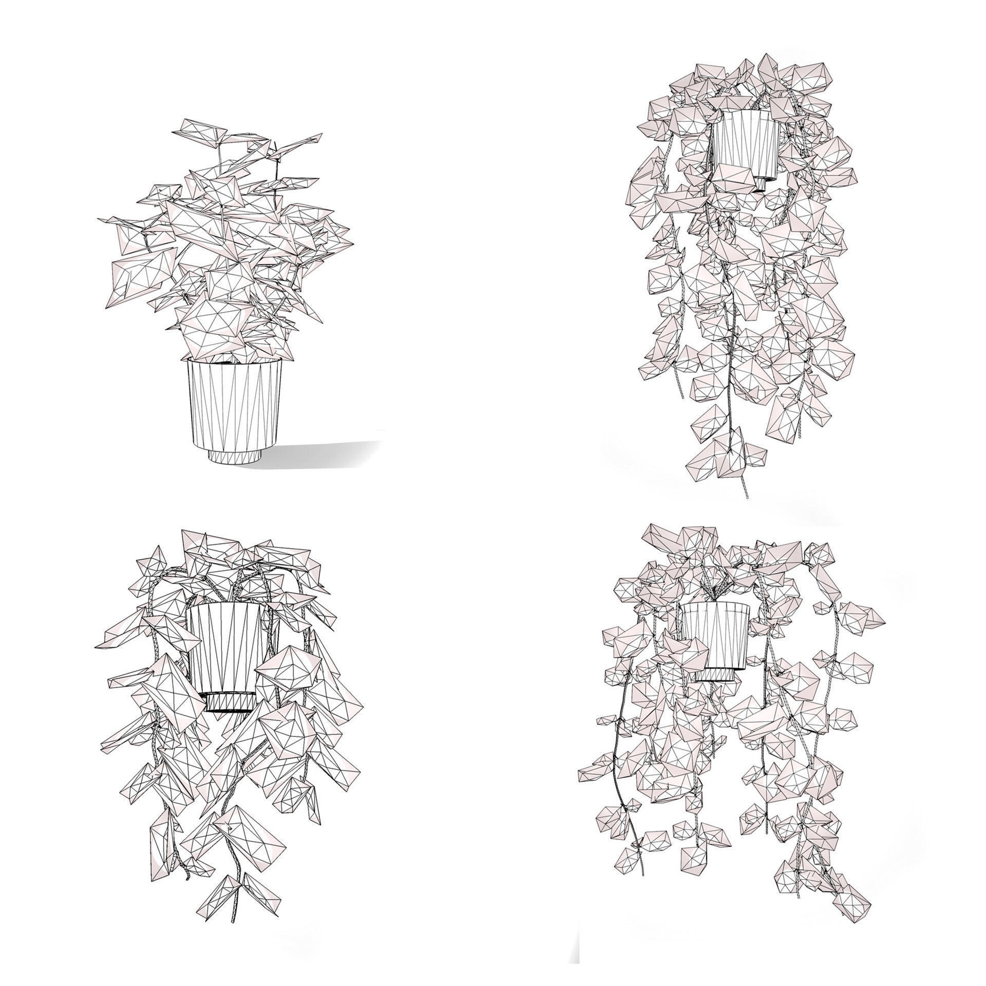 Potted Plant Collection - Low-Poly Game-Ready 3D Model - View 12