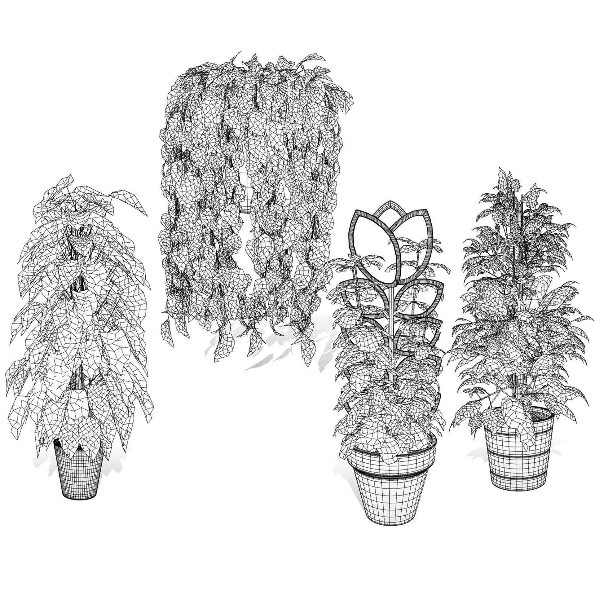 Potted Plant Collection - Low-Poly Game-Ready 3D Model - View 15