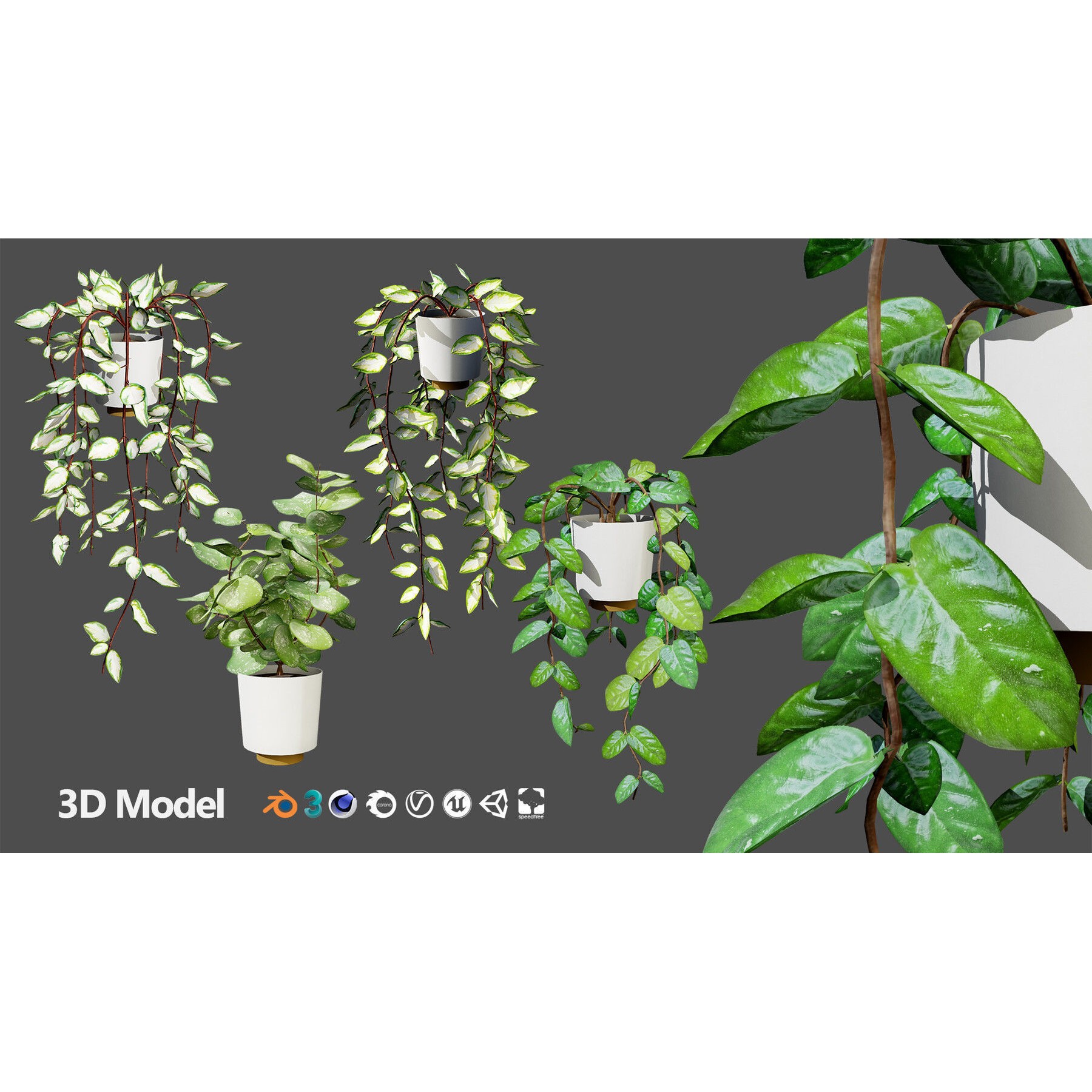 Potted Plant Collection - Low-Poly Game-Ready 3D Model - View 18