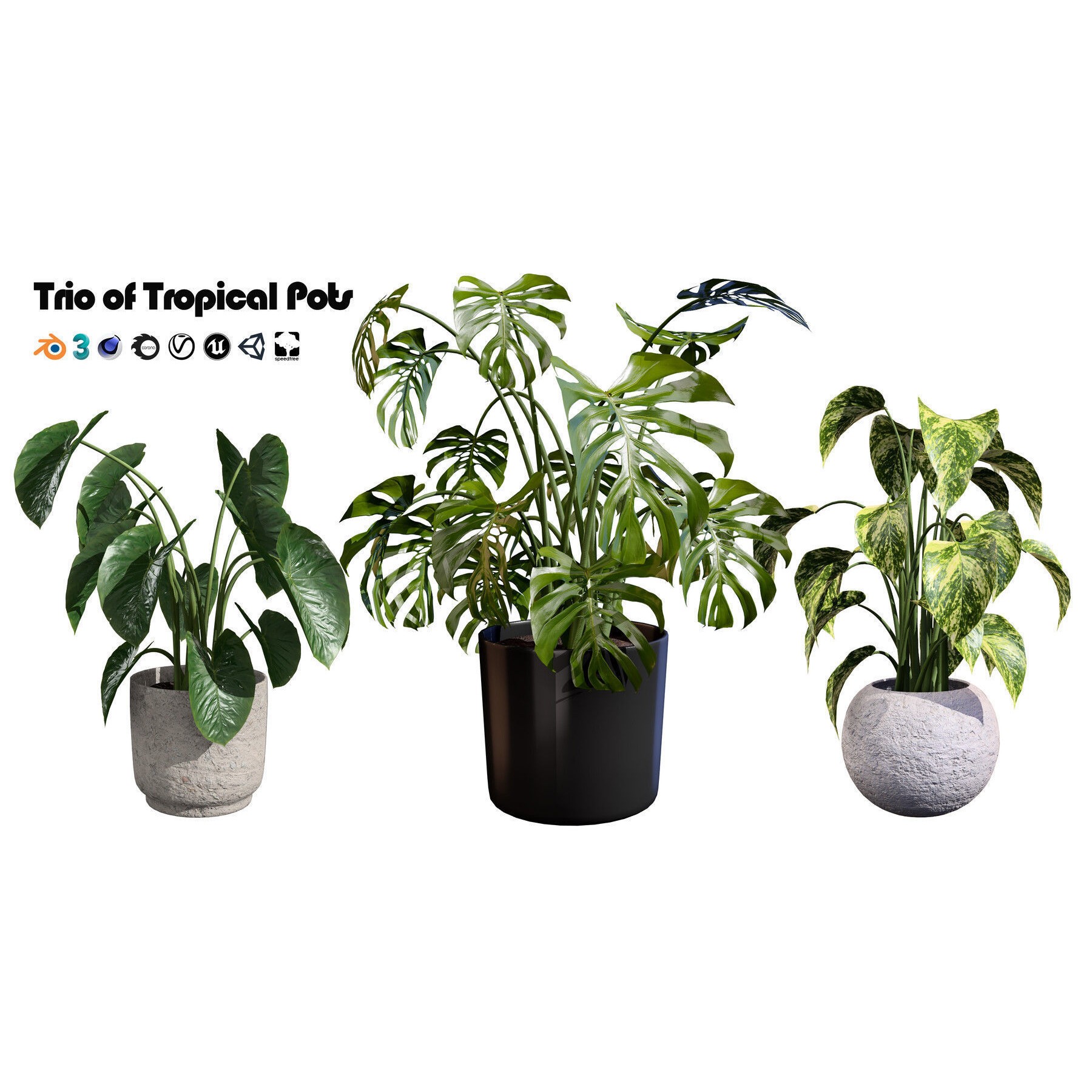 Potted Plant Collection - Low-Poly Game-Ready 3D Model - View 19