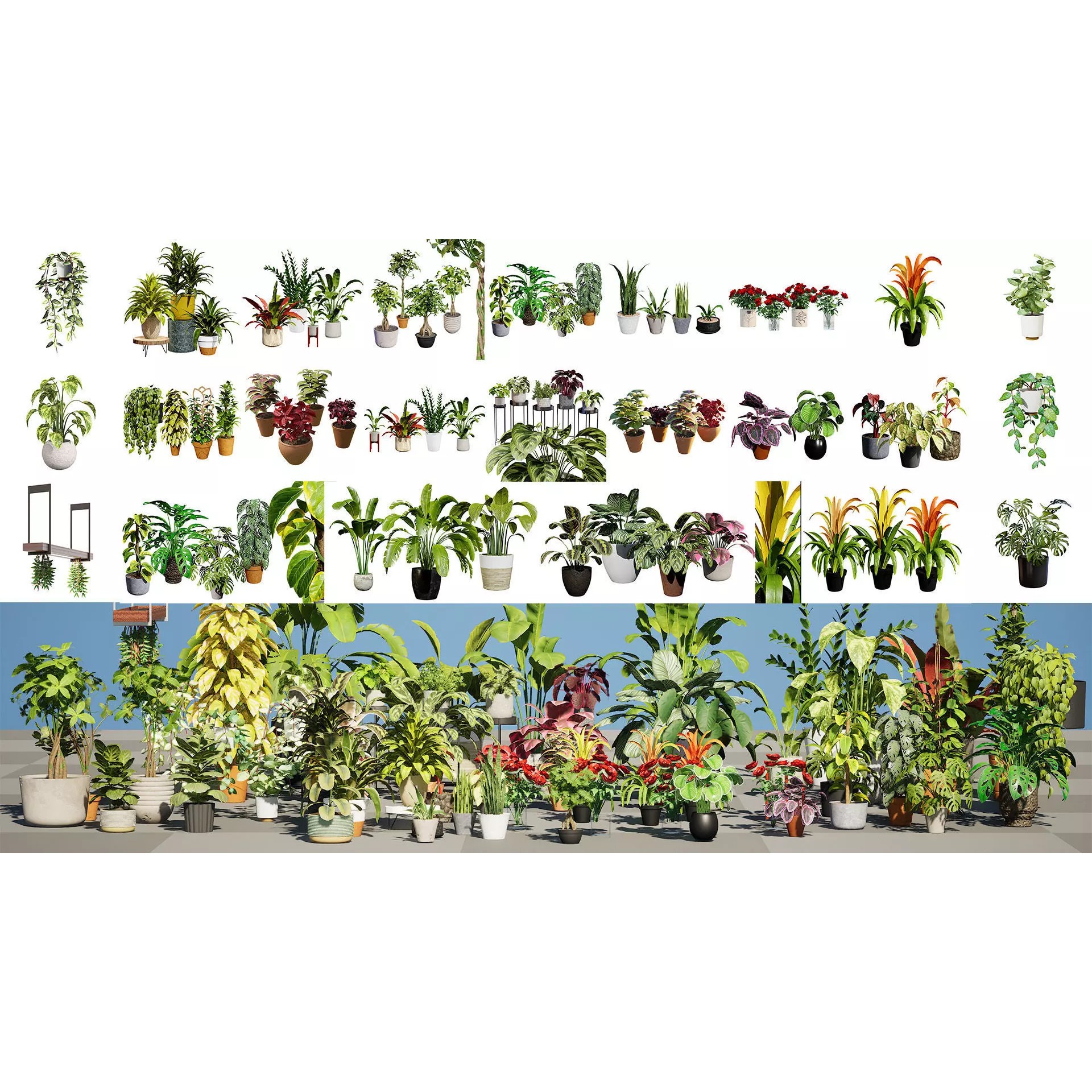 Potted Plant Collection - Low-Poly Game-Ready 3D Model - View 2