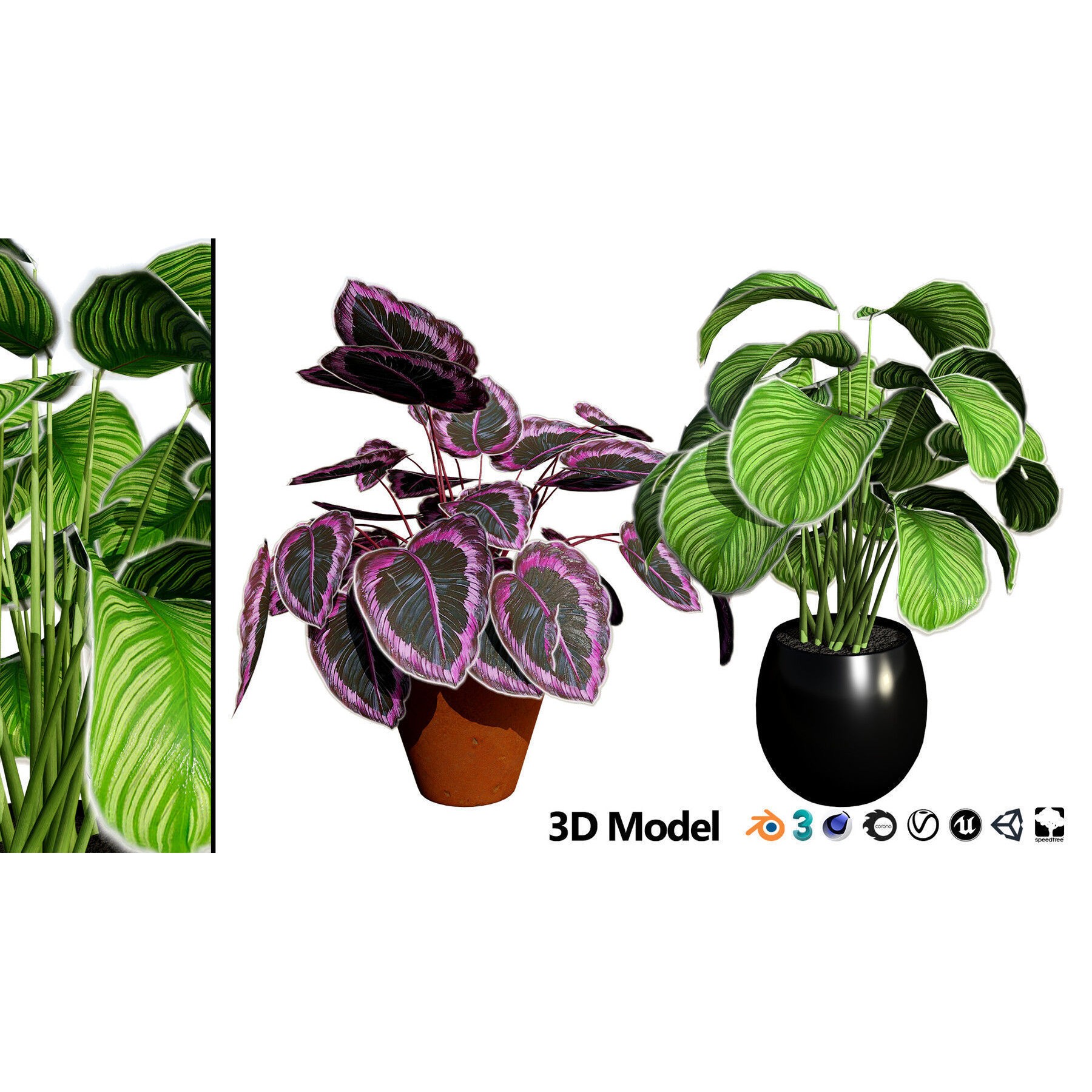 Potted Plant Collection - Low-Poly Game-Ready 3D Model - View 20