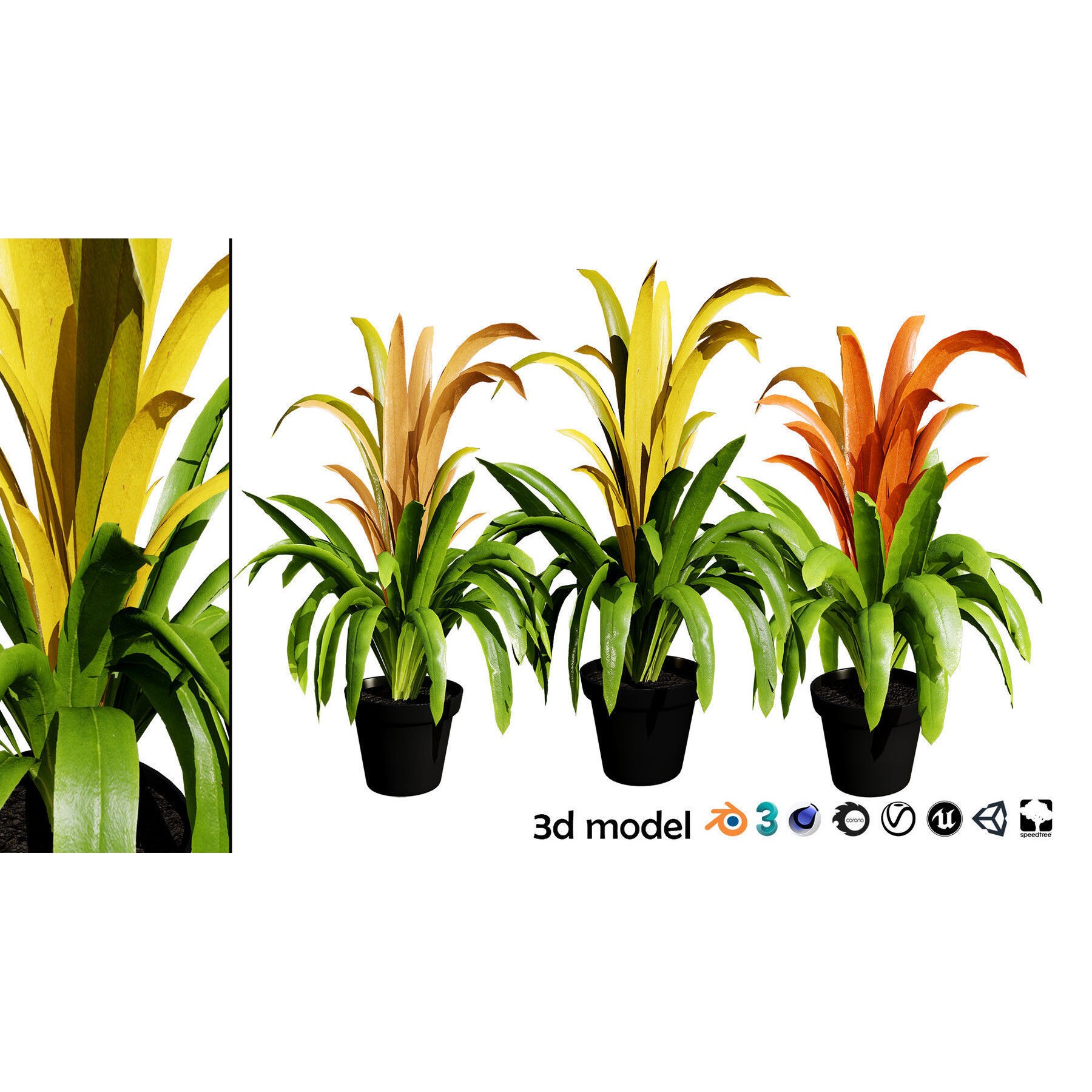 Potted Plant Collection - Low-Poly Game-Ready 3D Model - View 22