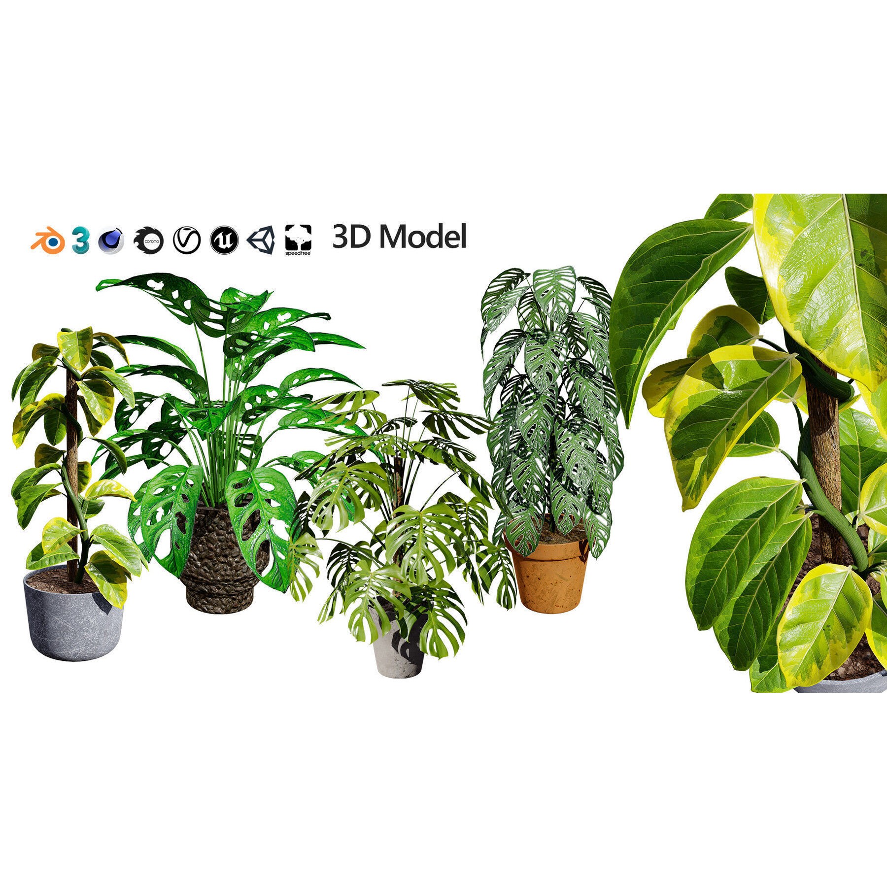 Potted Plant Collection - Low-Poly Game-Ready 3D Model - View 23