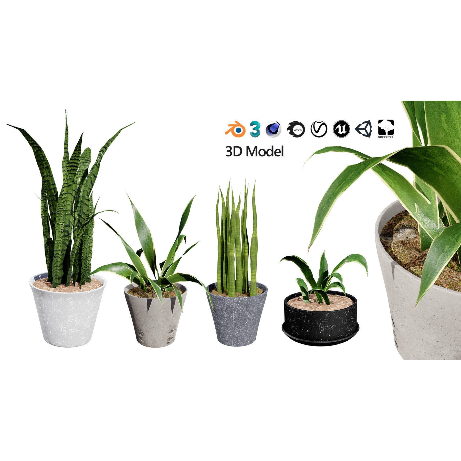 Potted Plant Collection - Low-Poly Game-Ready 3D Model - View 24