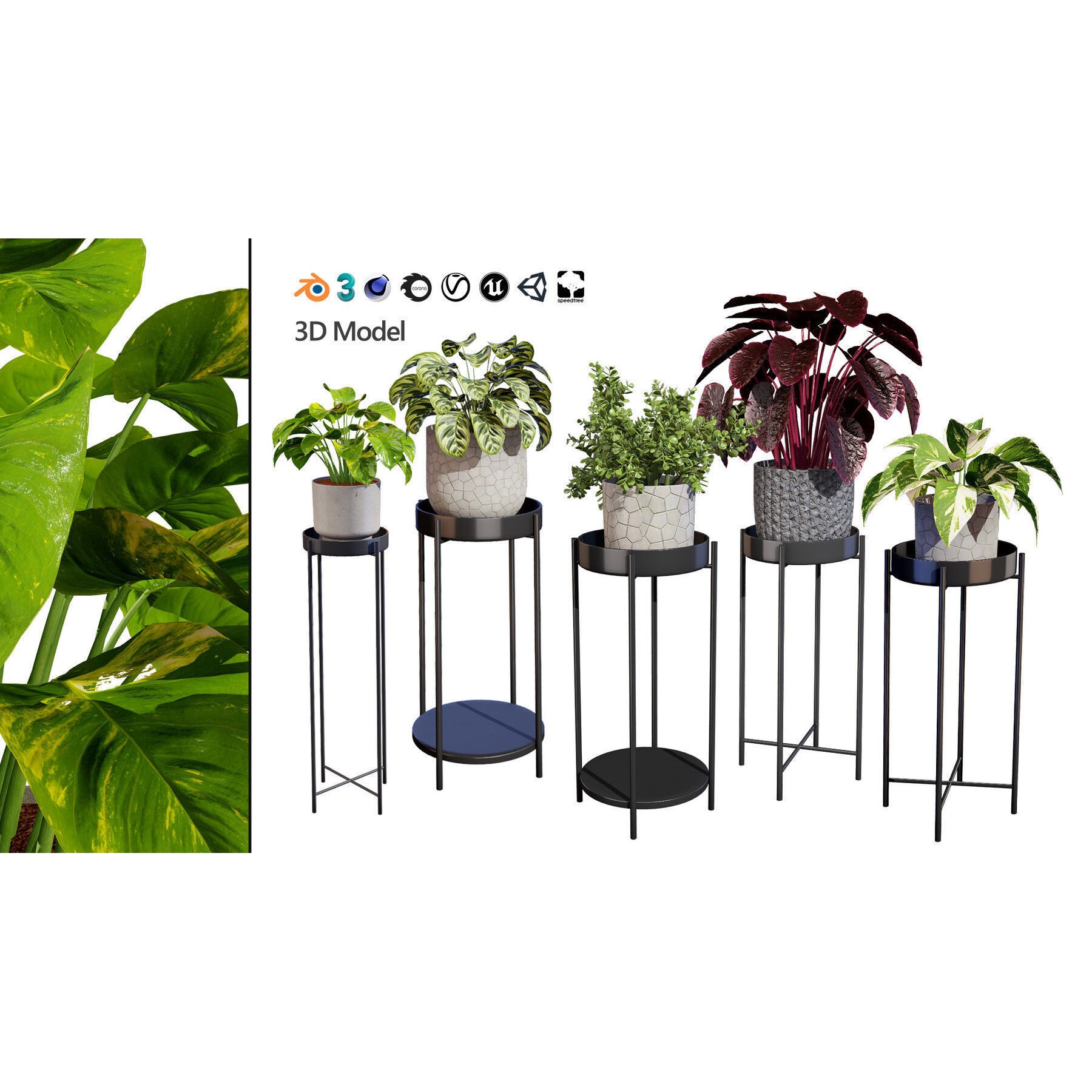 Potted Plant Collection - Low-Poly Game-Ready 3D Model - View 25