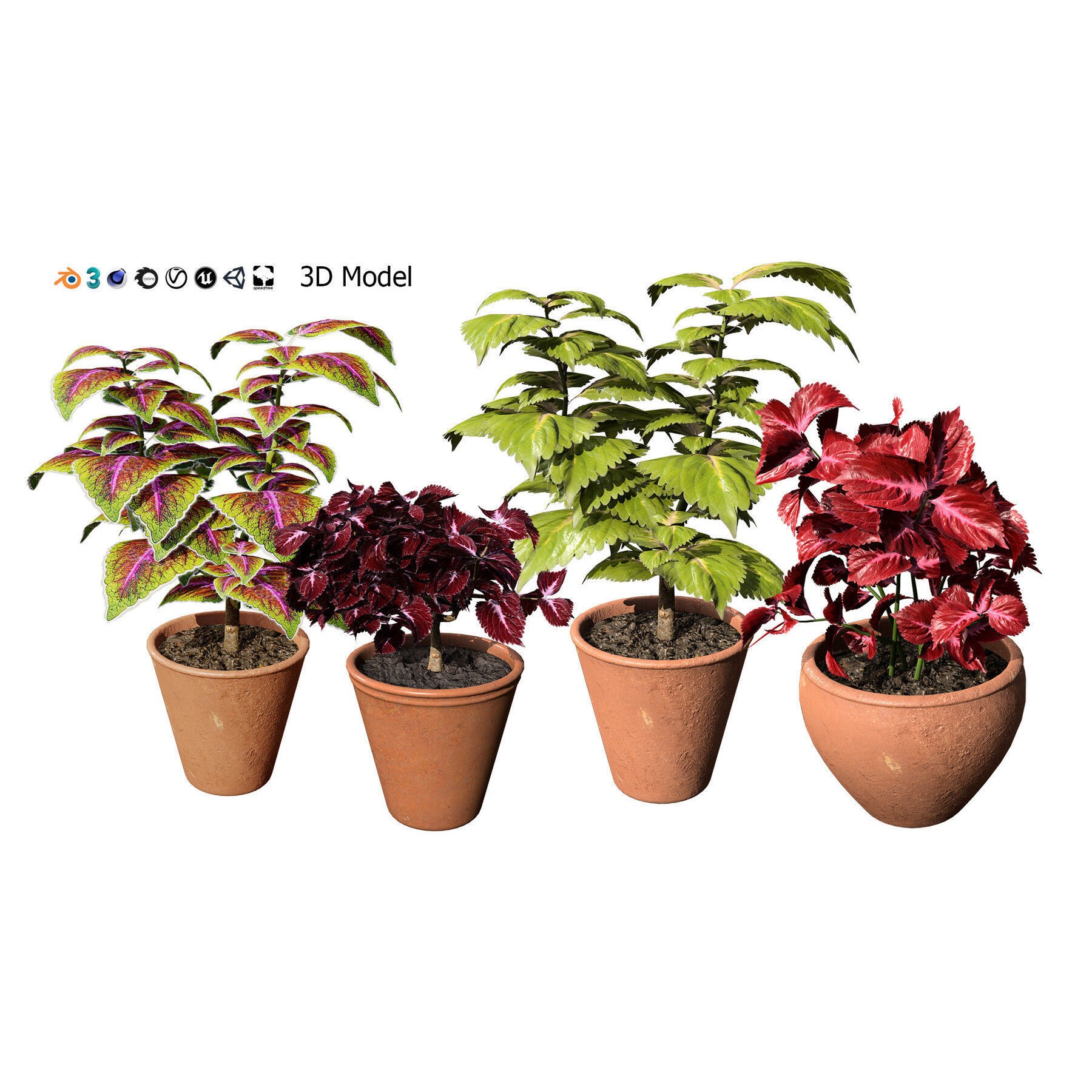 Potted Plant Collection - Low-Poly Game-Ready 3D Model - View 26