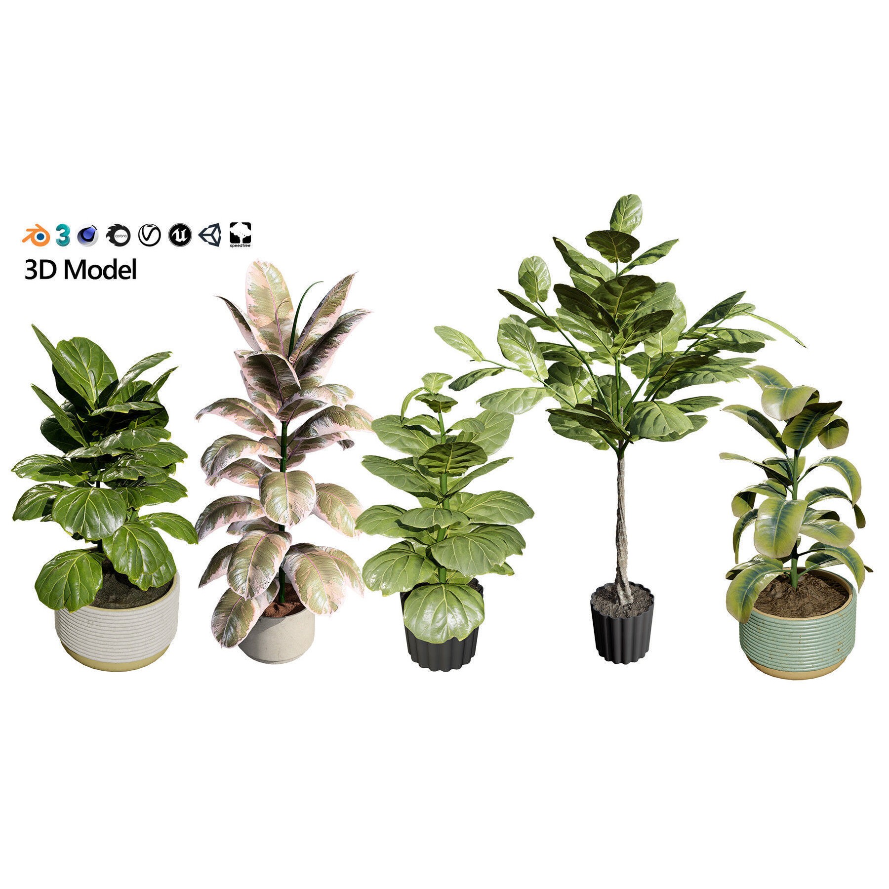 Potted Plant Collection - Low-Poly Game-Ready 3D Model - View 28