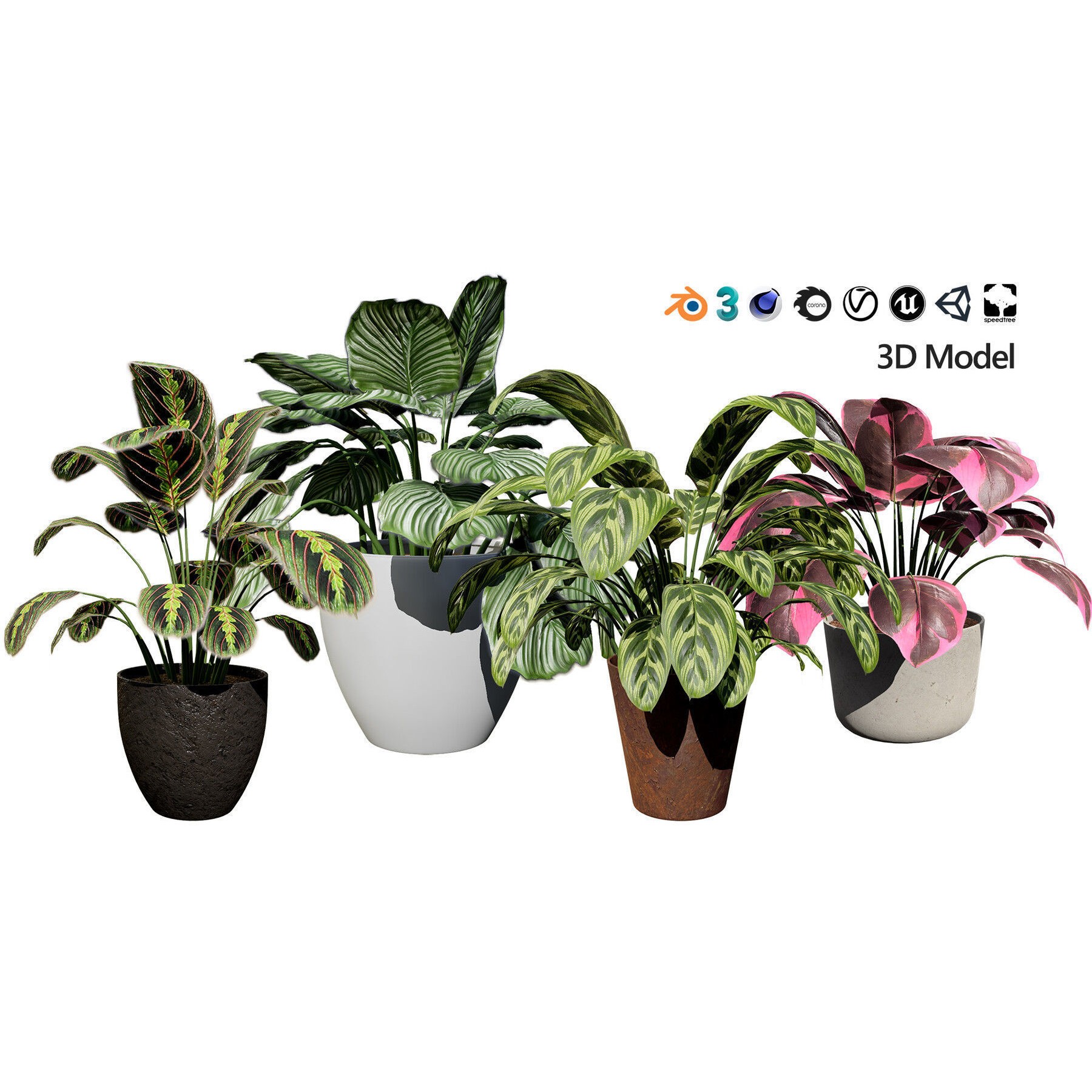 Potted Plant Collection - Low-Poly Game-Ready 3D Model - View 29