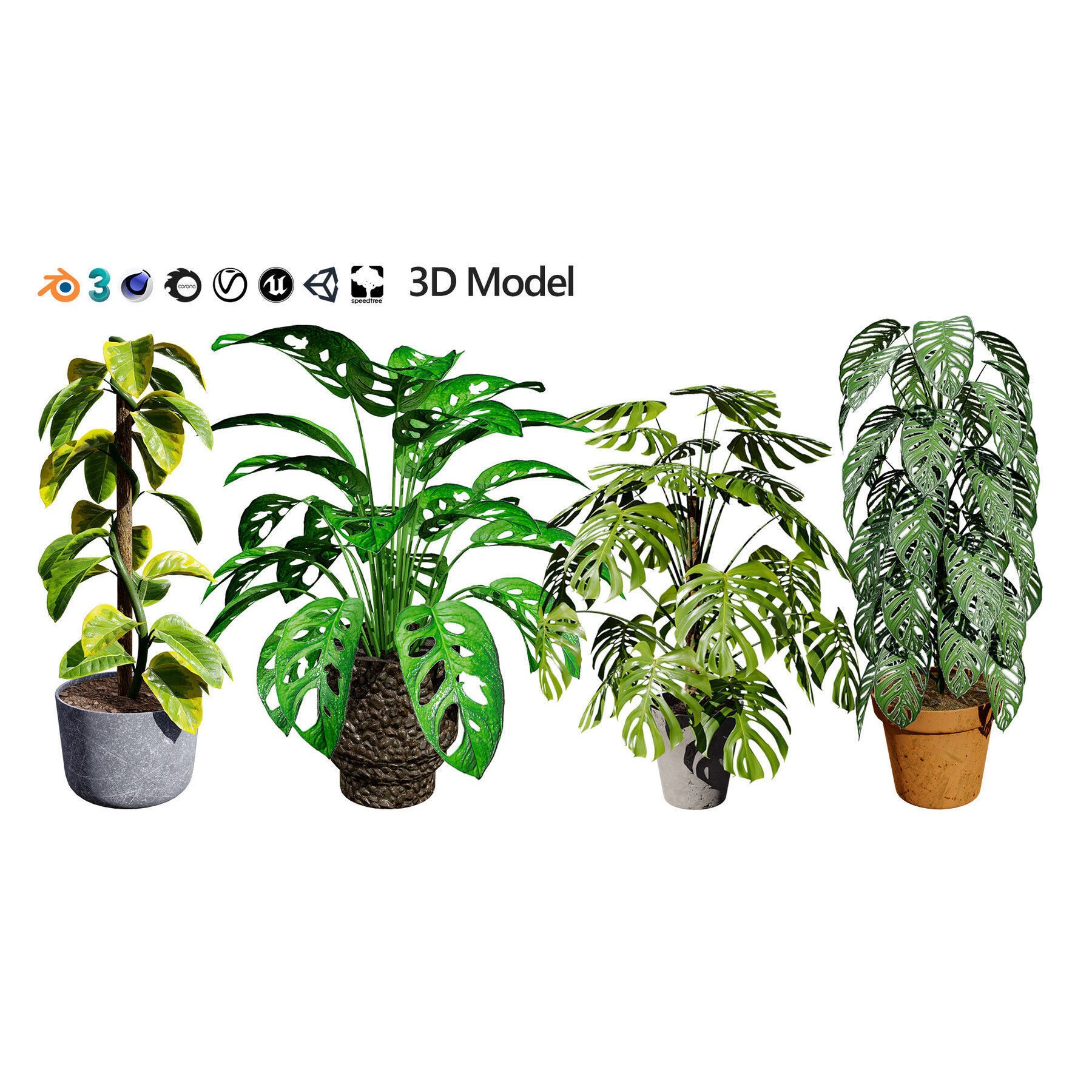 Potted Plant Collection - Low-Poly Game-Ready 3D Model - View 30