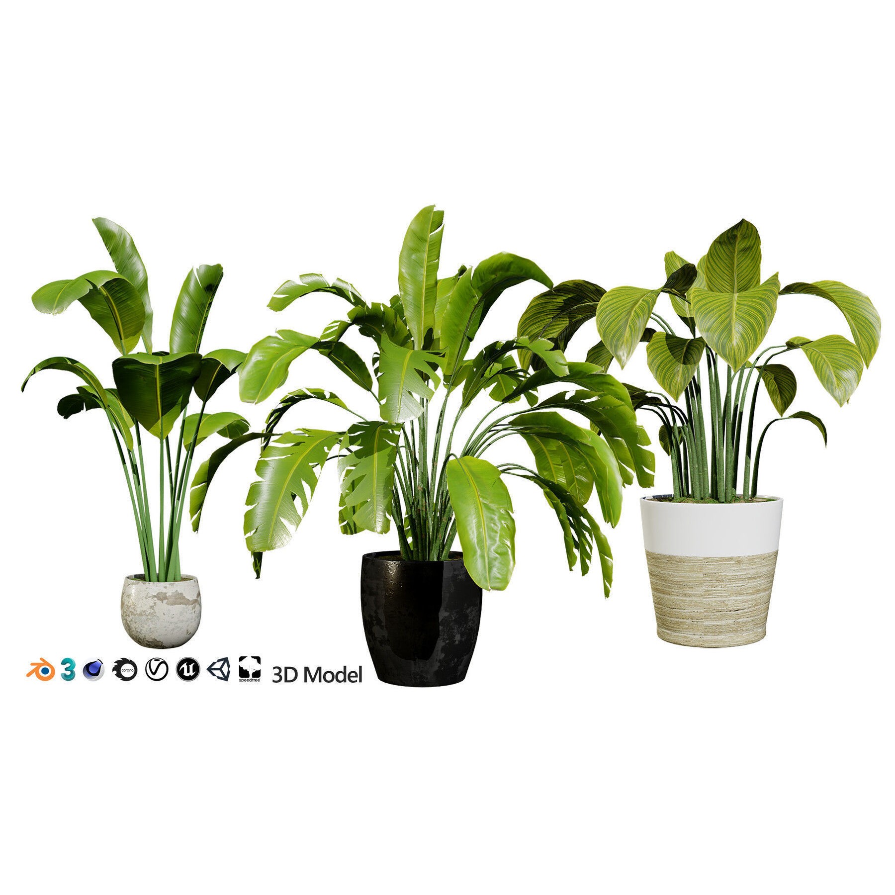 Potted Plant Collection - Low-Poly Game-Ready 3D Model - View 31