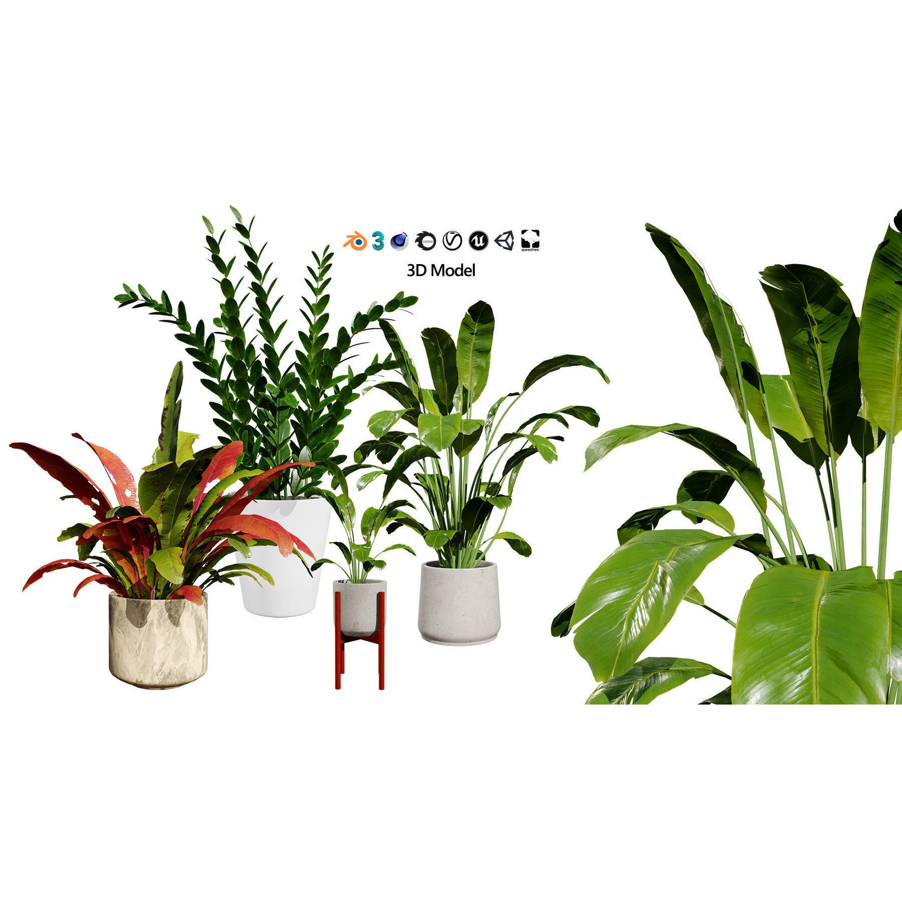 Potted Plant Collection - Low-Poly Game-Ready 3D Model - View 32