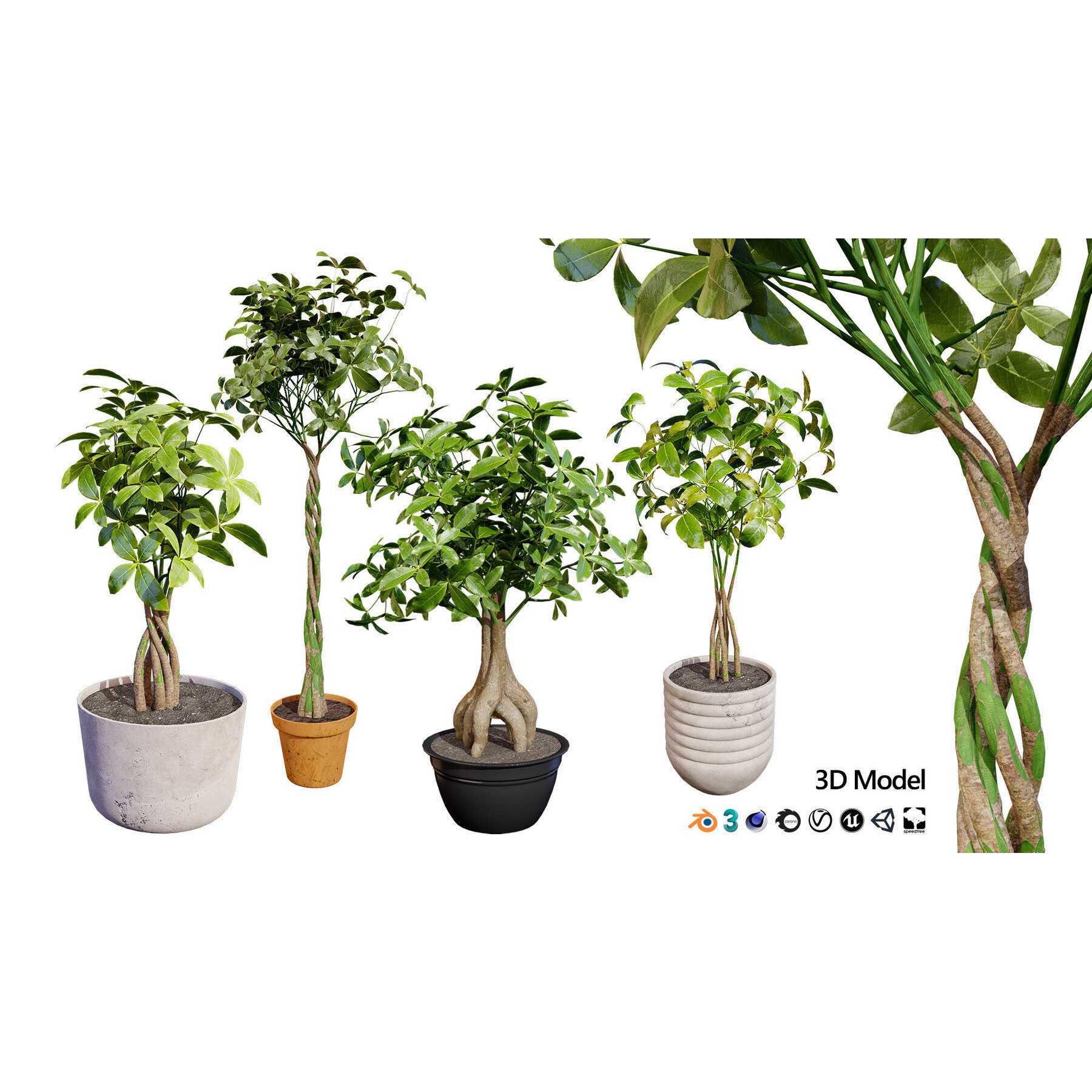 Potted Plant Collection - Low-Poly Game-Ready 3D Model - View 33