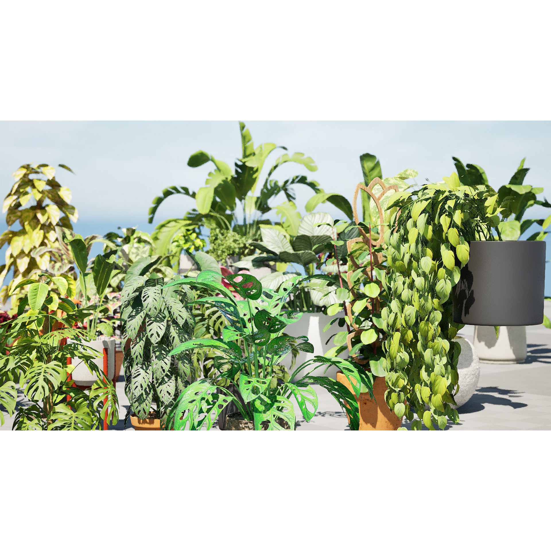 Potted Plant Collection - Low-Poly Game-Ready 3D Model - View 4