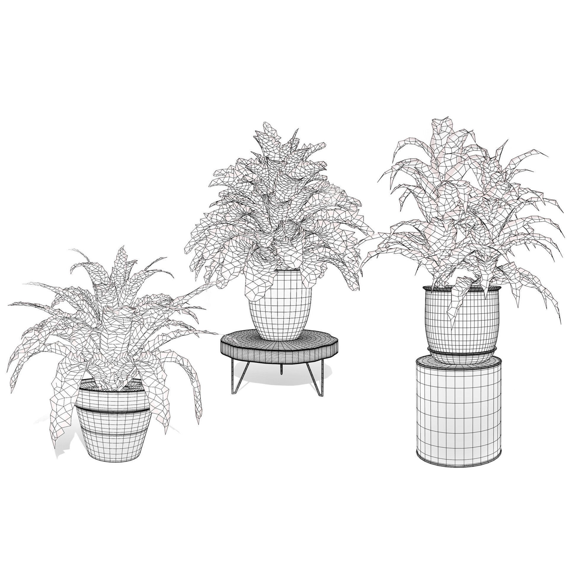 Potted Plant Collection - Low-Poly Game-Ready 3D Model - View 5