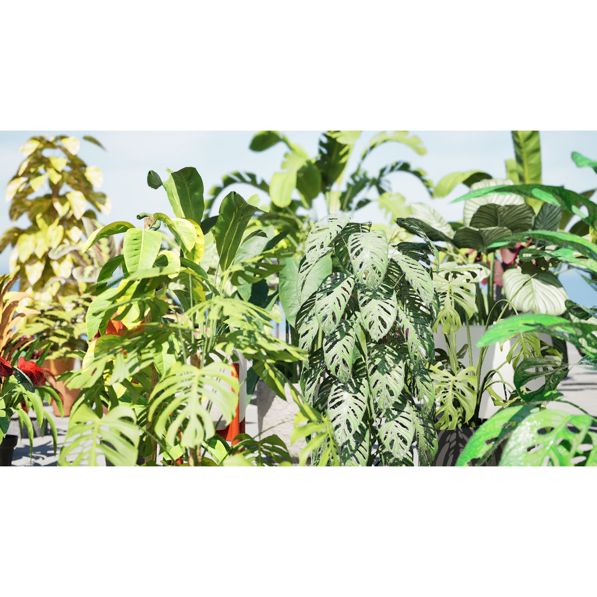 Potted Plant Collection - Low-Poly Game-Ready 3D Model - View 8