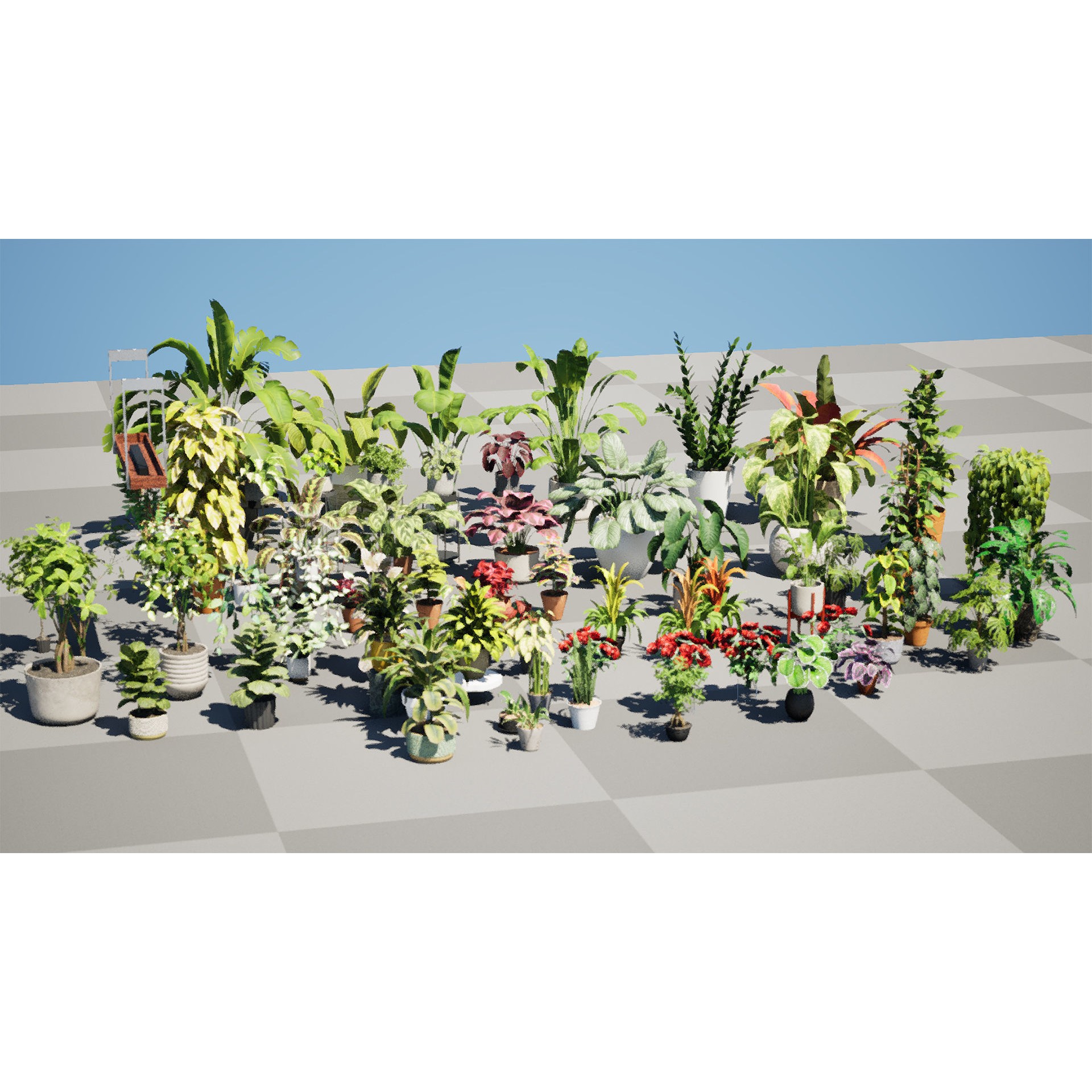 Potted Plant Collection - Low-Poly Game-Ready 3D Model - View 9