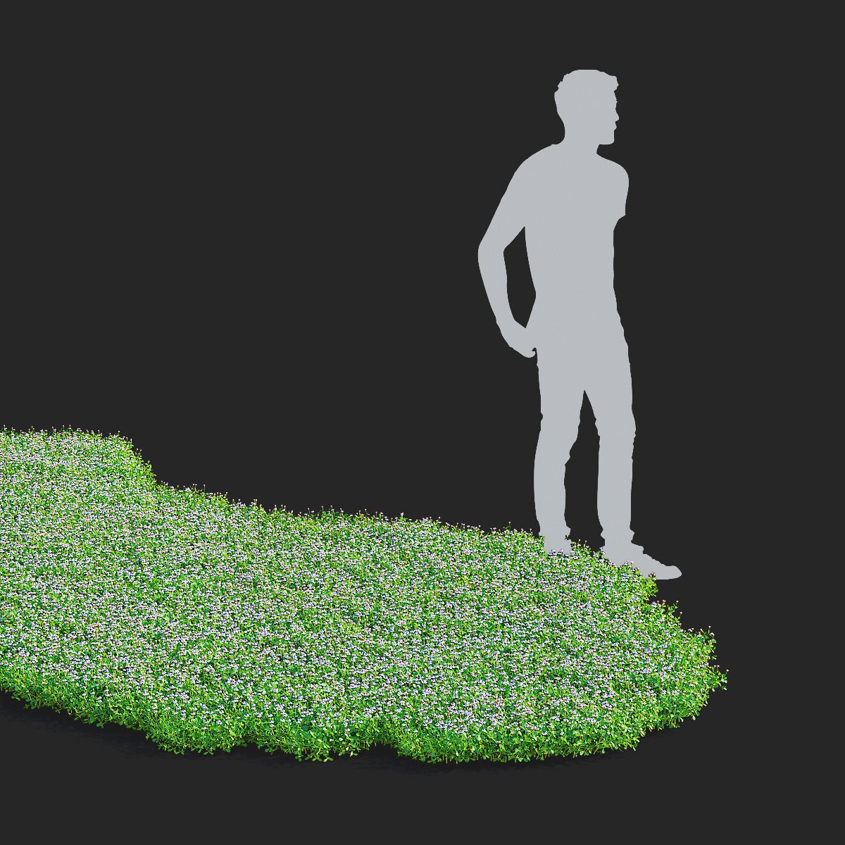Phyla Nodiflora - Low-Poly Game-Ready 3D Model - View 4