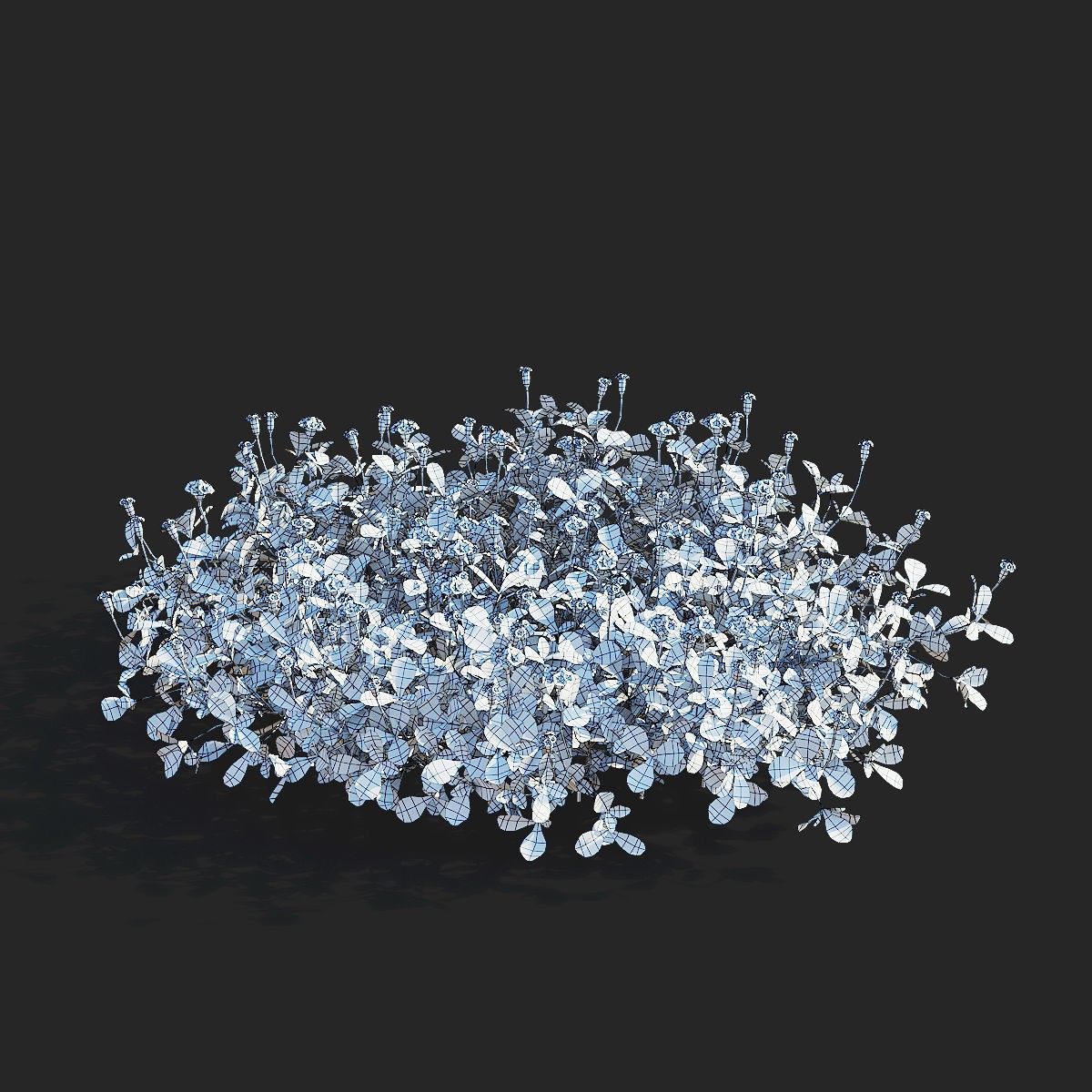 Phyla Nodiflora - Low-Poly Game-Ready 3D Model - View 7