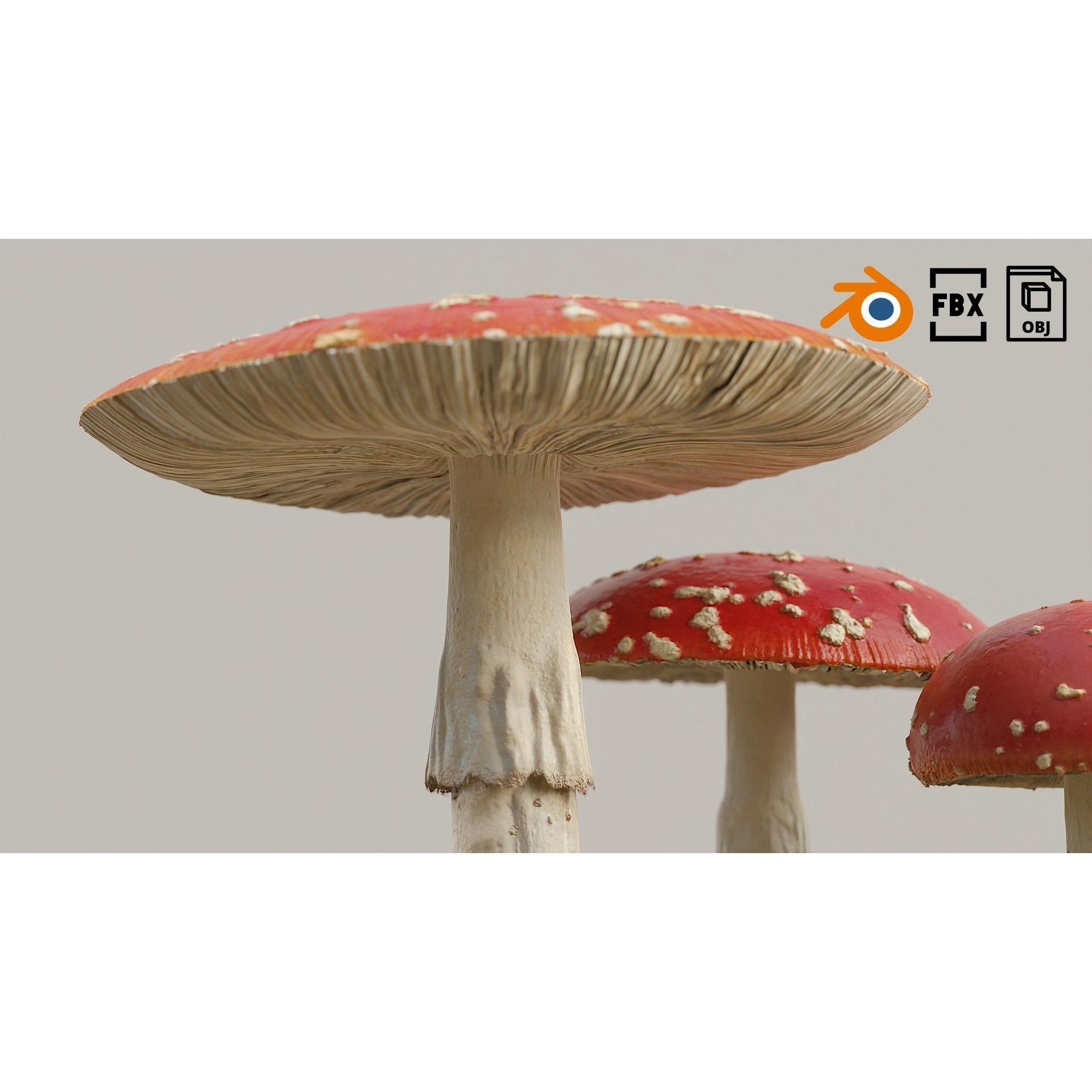 Set of Mushrooms - Low-Poly Game-Ready 3D Model - View 5