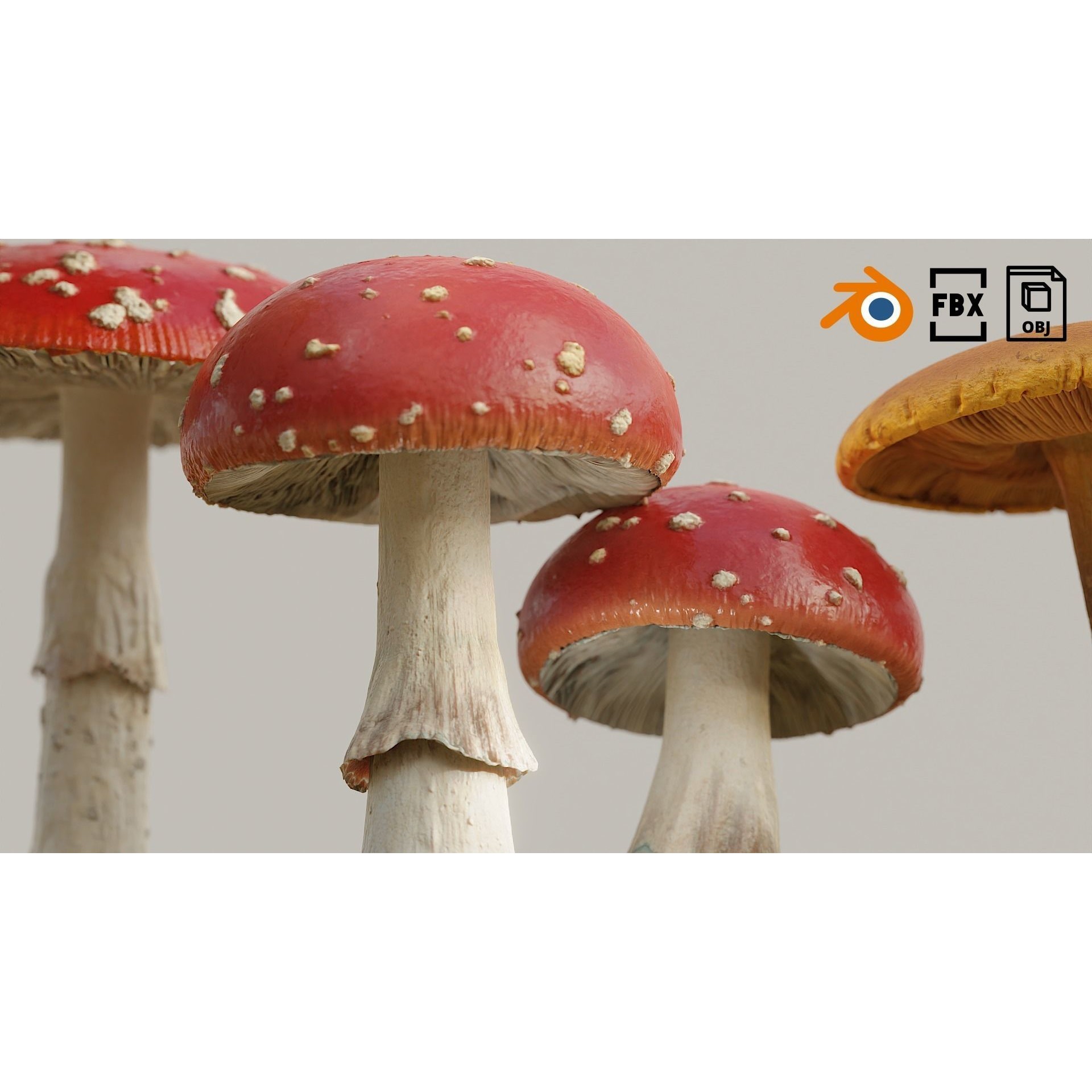 Set of Mushrooms - Low-Poly Game-Ready 3D Model - View 6