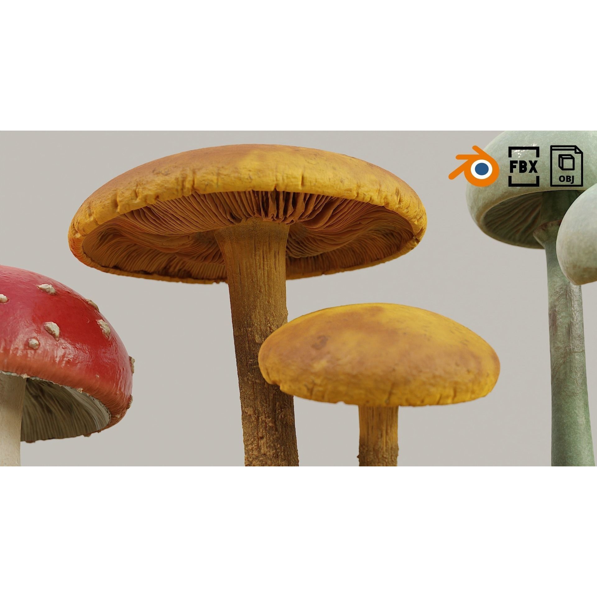 Set of Mushrooms - Low-Poly Game-Ready 3D Model - View 7