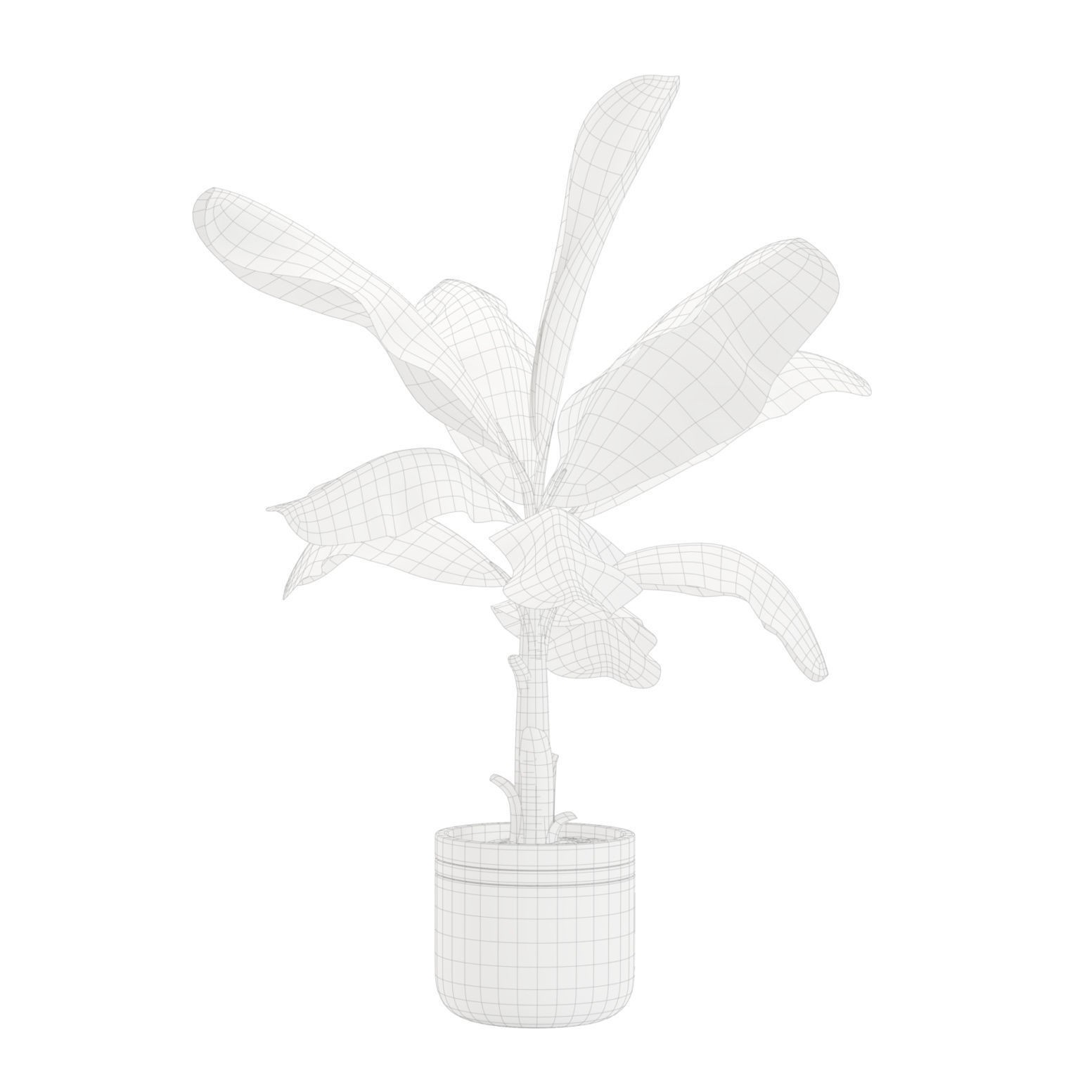 Indoor Plants Pack - Game-Ready 3D Model