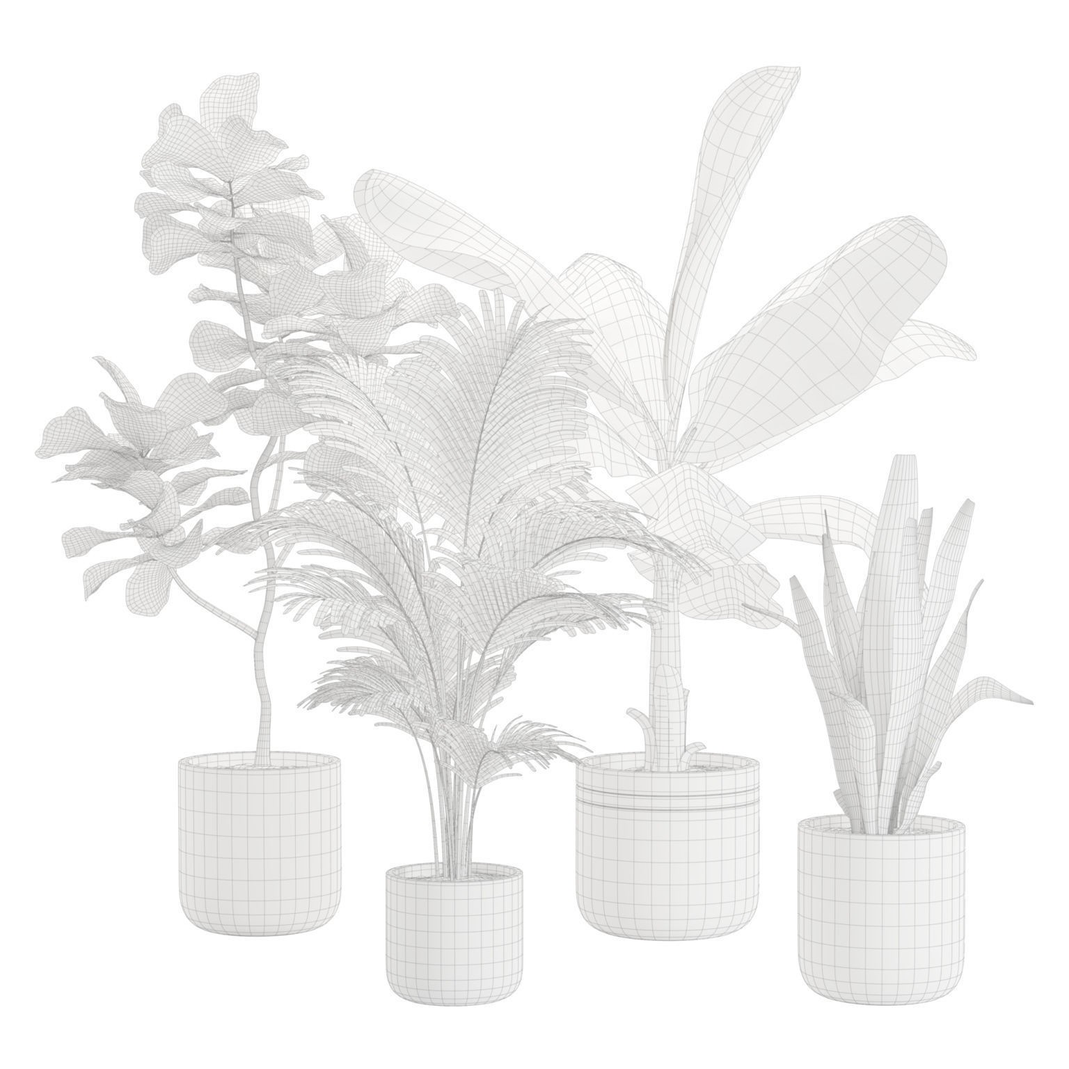 Indoor Plants Pack - Game-Ready 3D Model - View 3