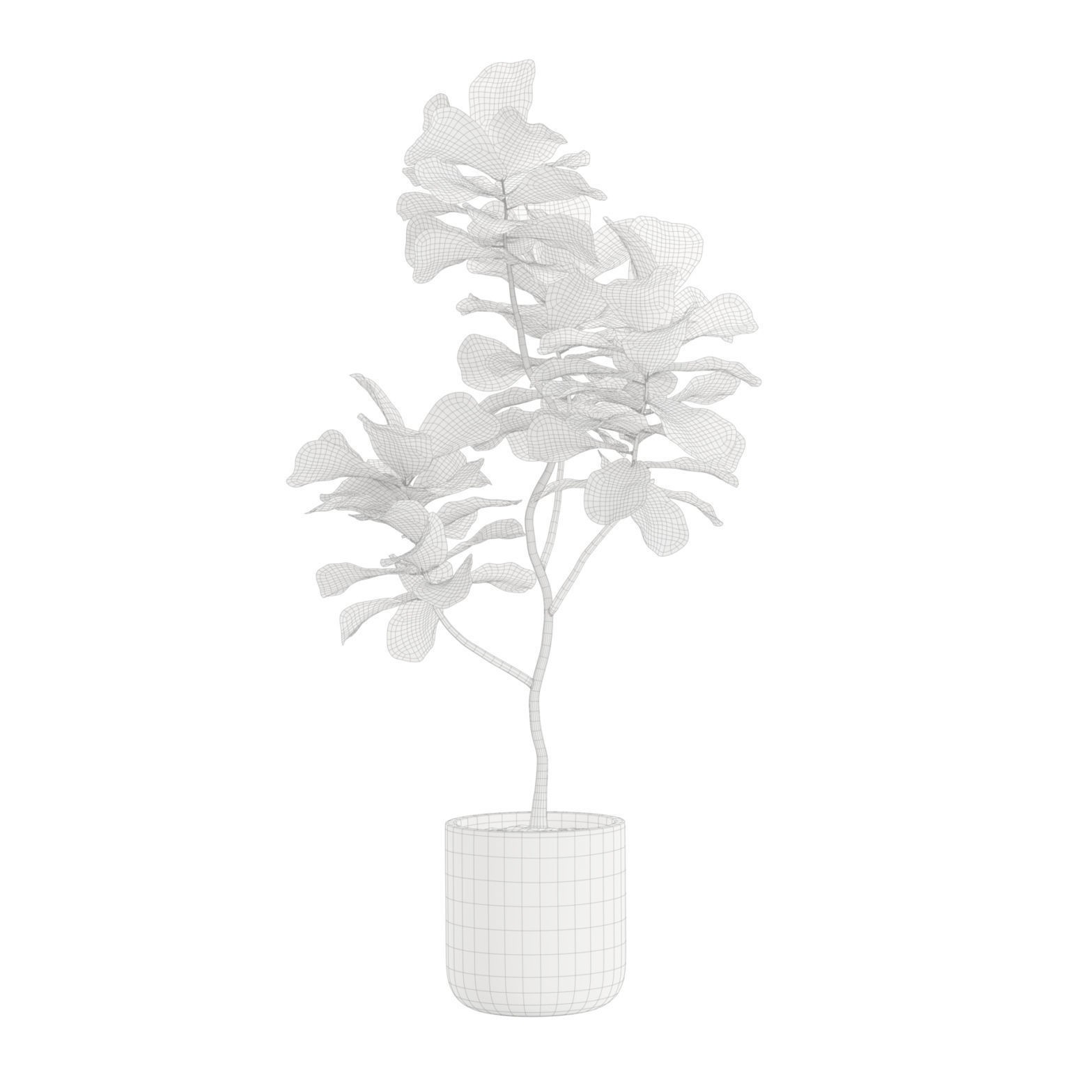 Indoor Plants Pack - Game-Ready 3D Model - View 8