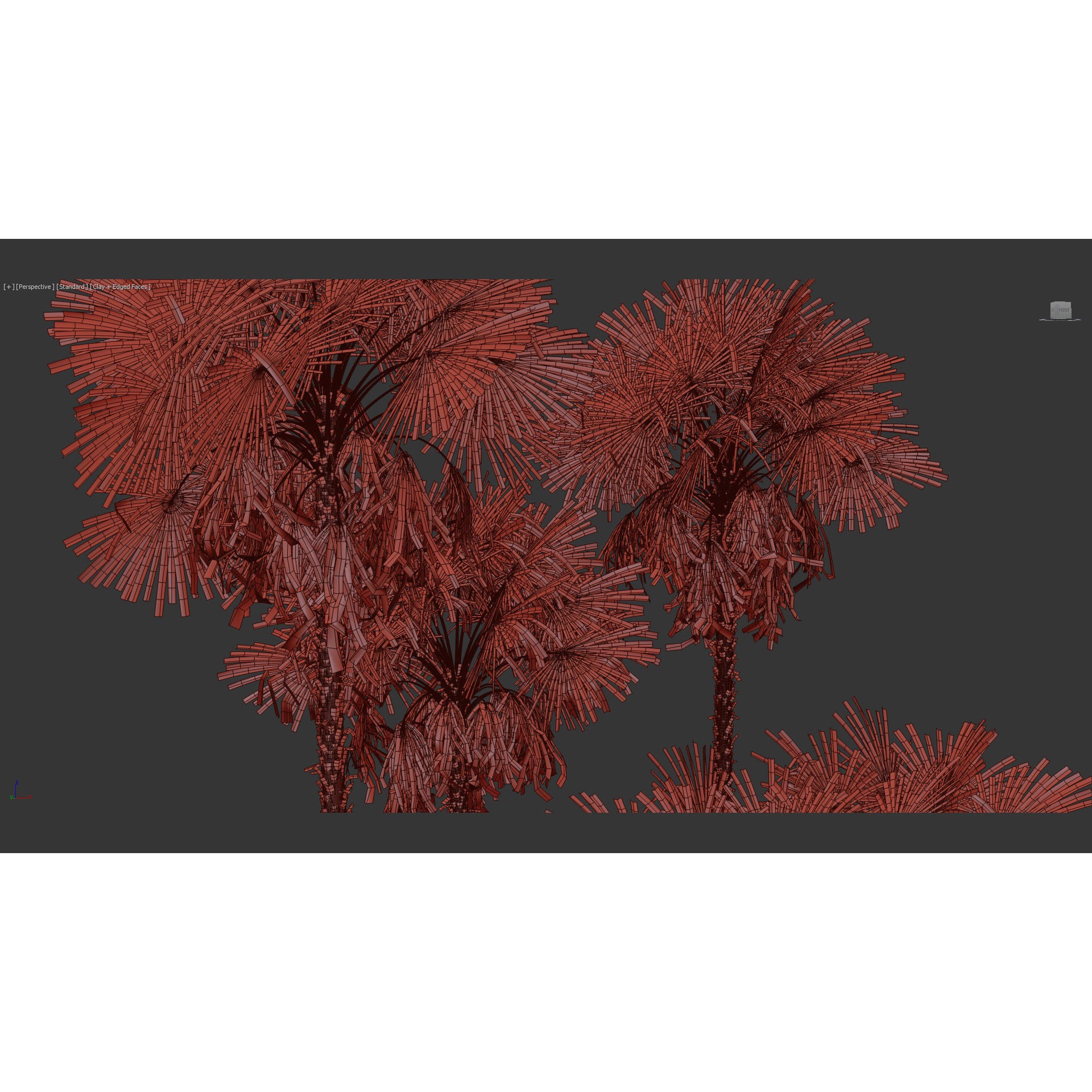 Acoelorrhaphe Wrightii - Game-Ready 3D Model